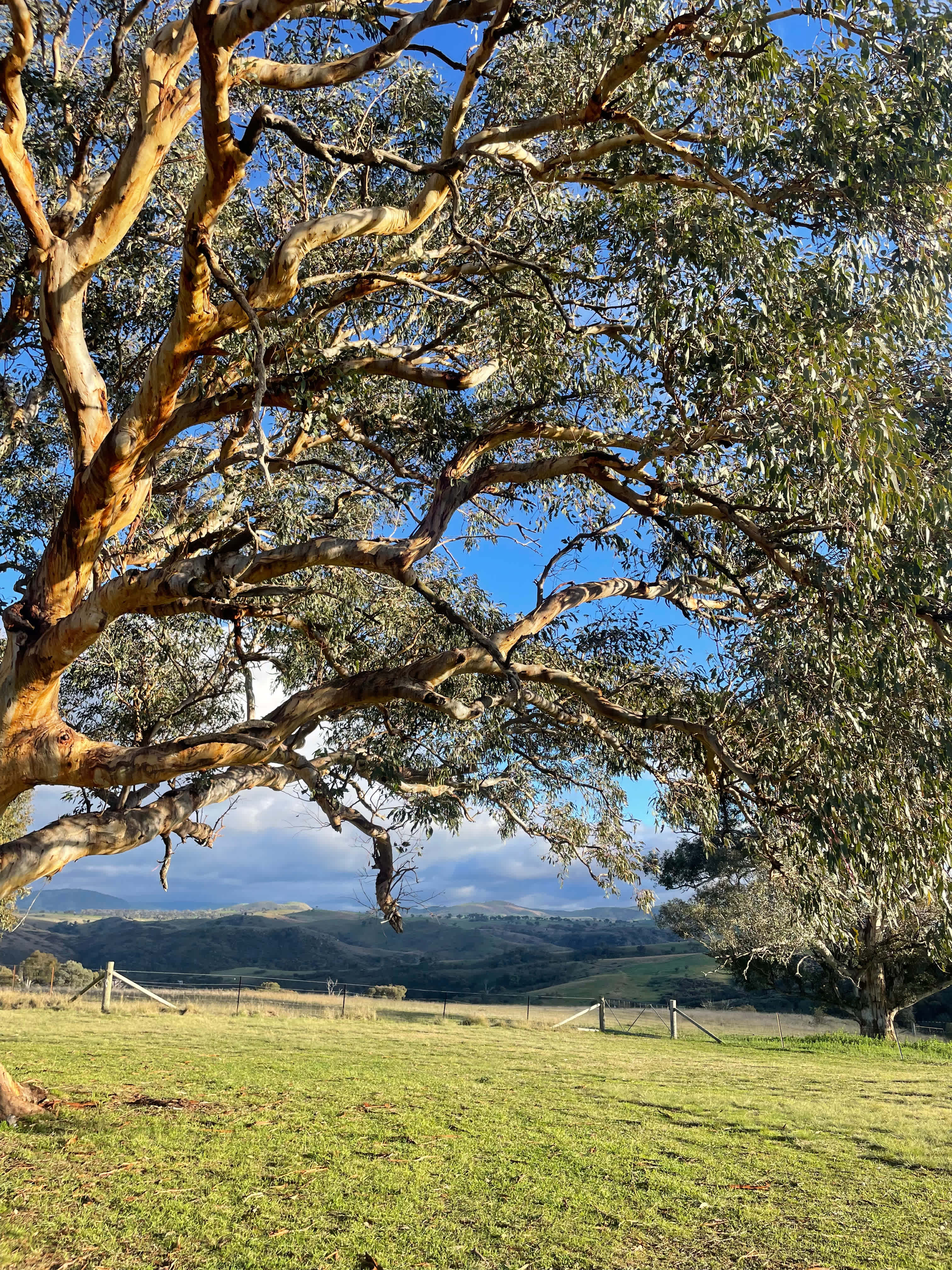 Burrendah Farm Camp