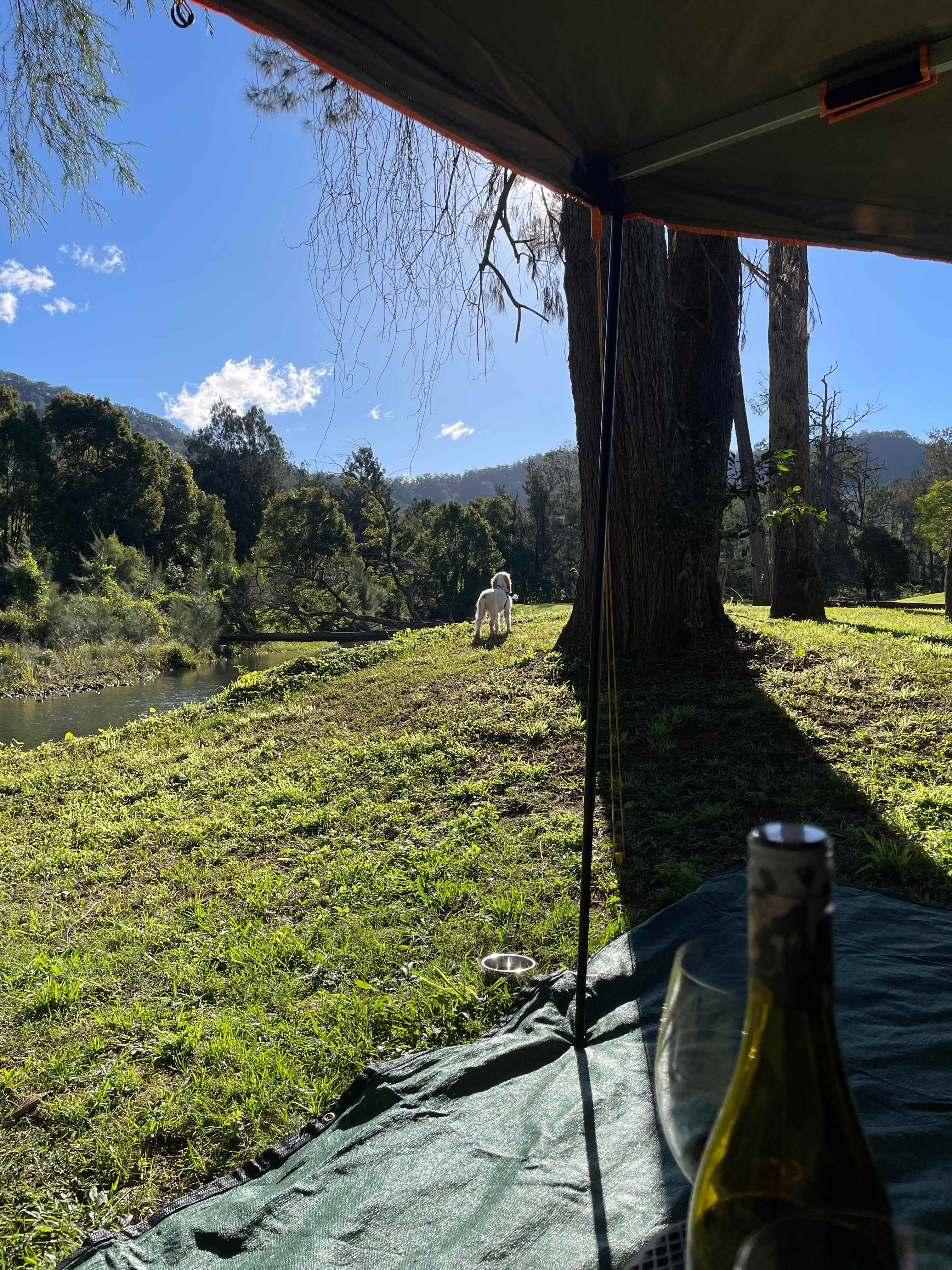 Mt Lion Farm Secluded Creek Camping