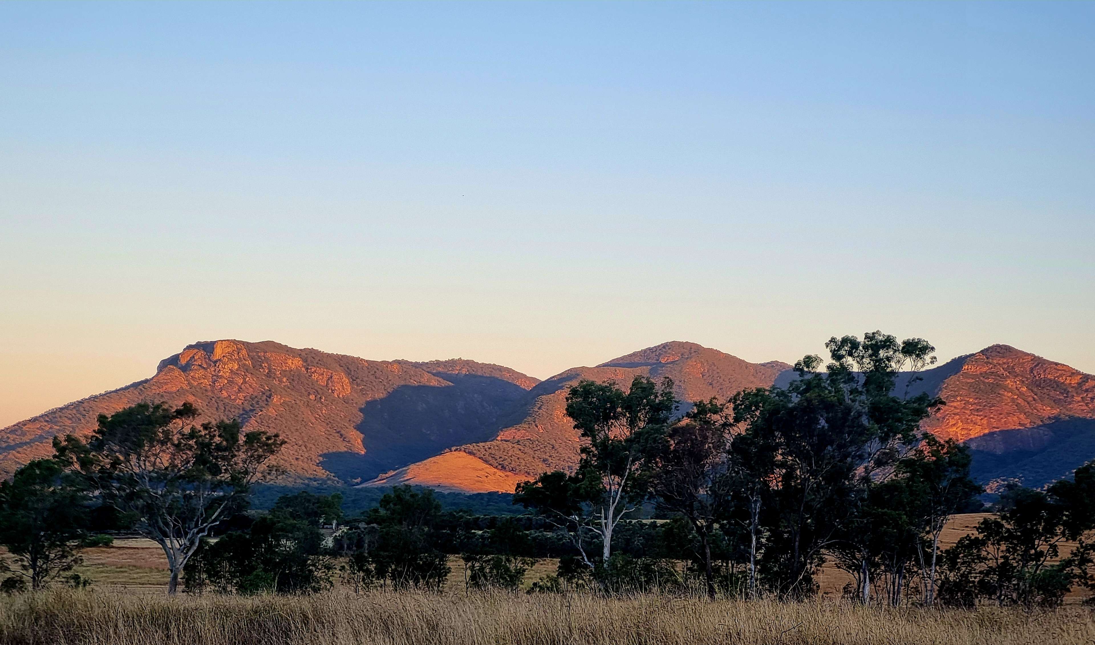 View from the site.