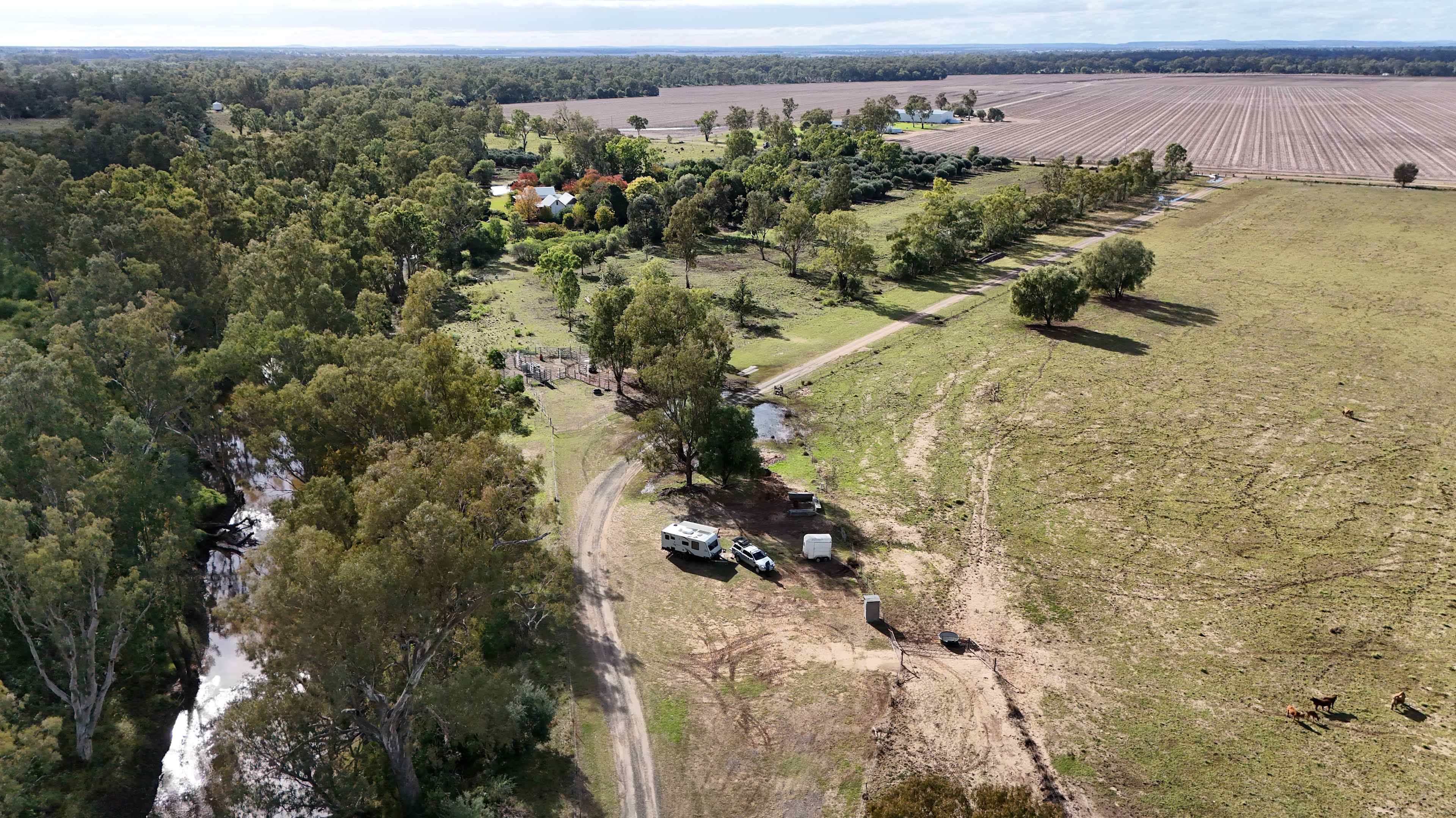 Cattle Yard Camp