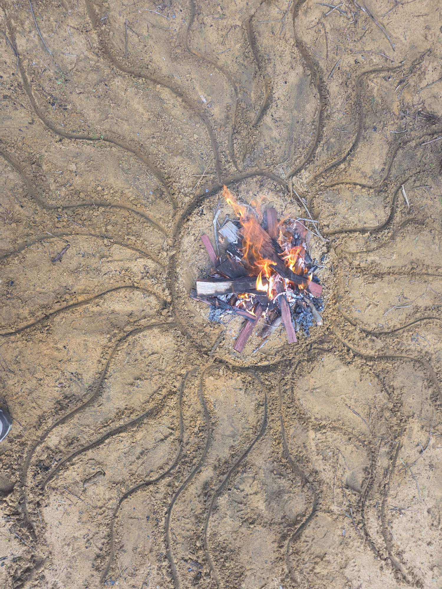 Picture of the site