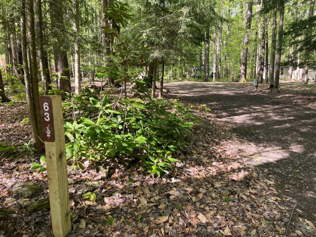 Picture of the site