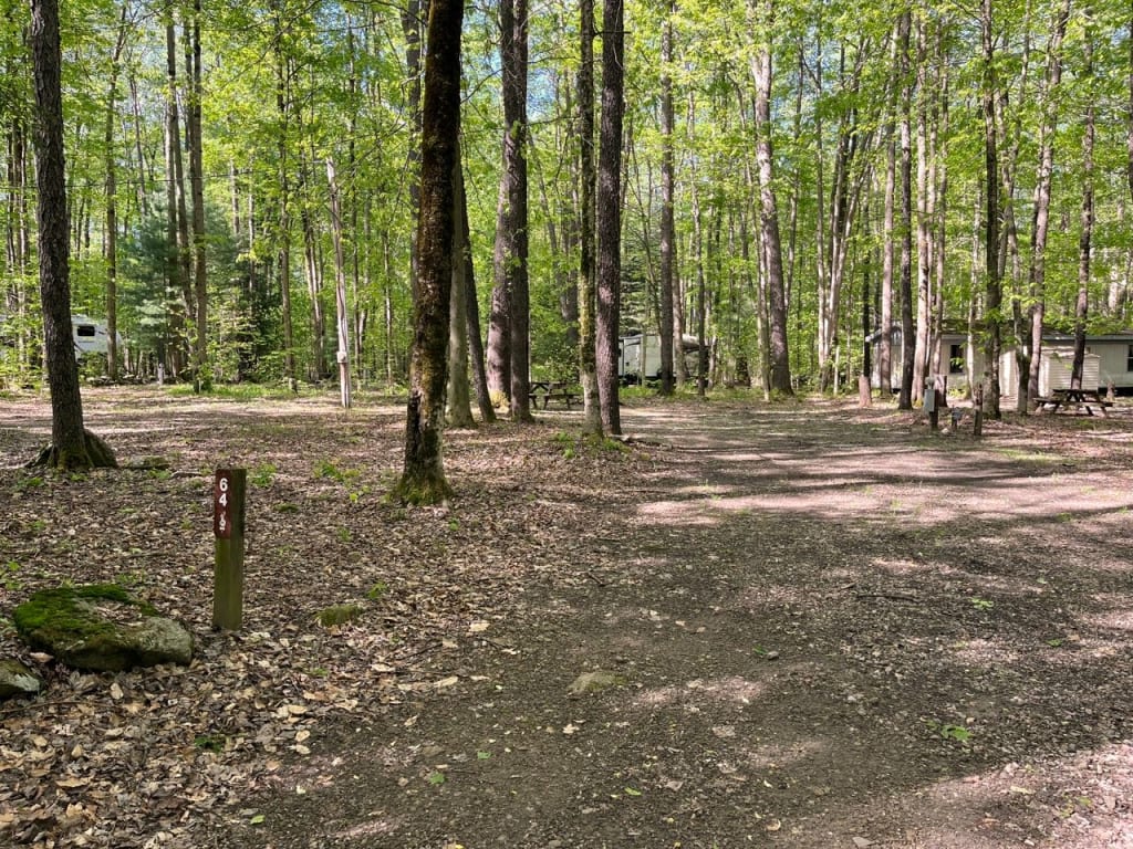 Picture of the site