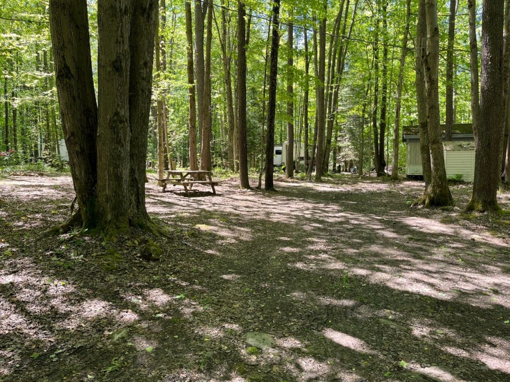 Picture of the site
