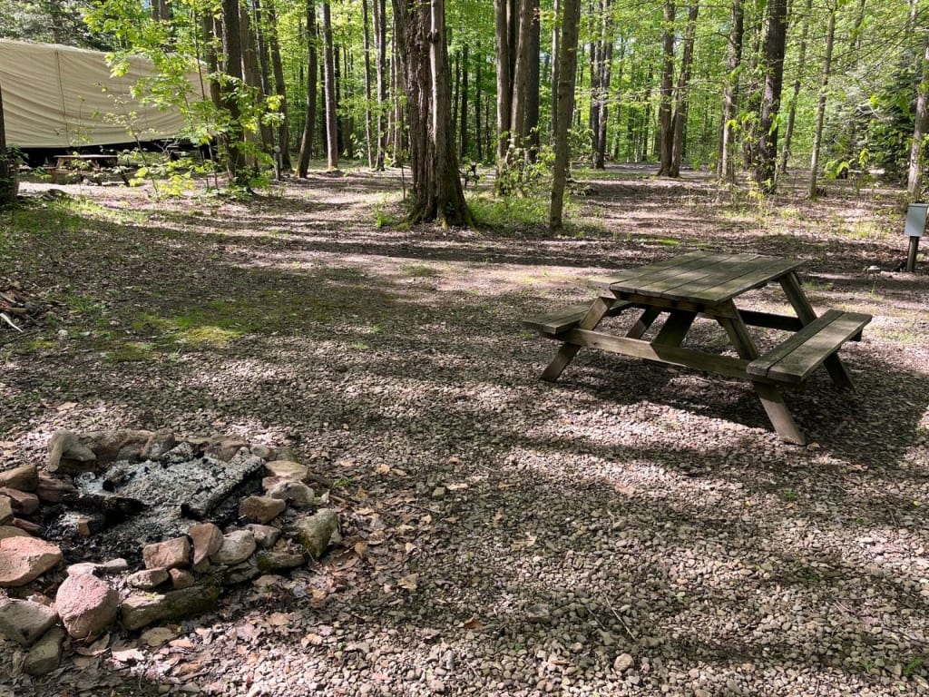 Picture of the site
