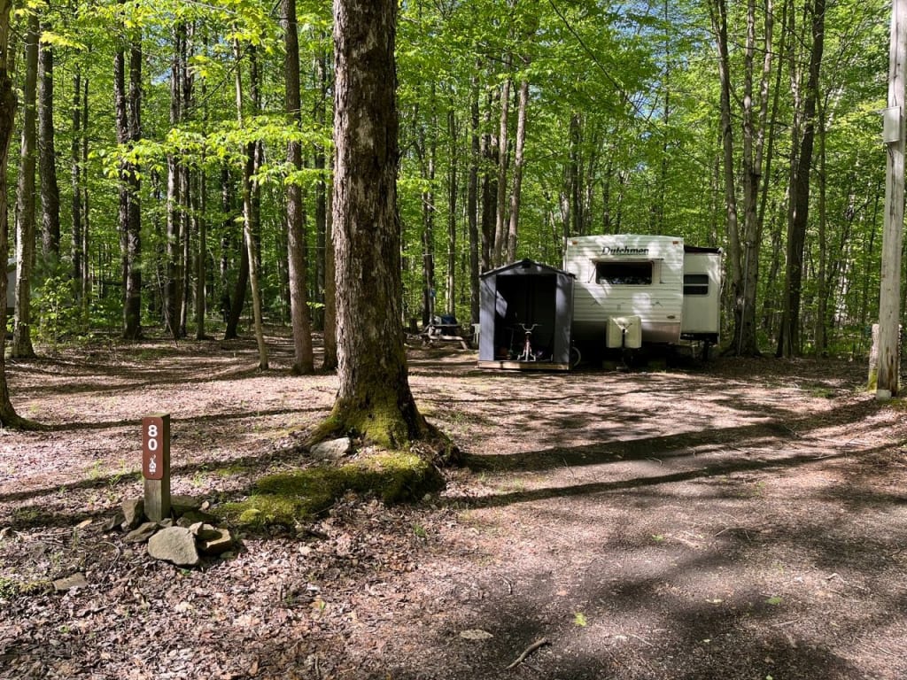 Picture of the site