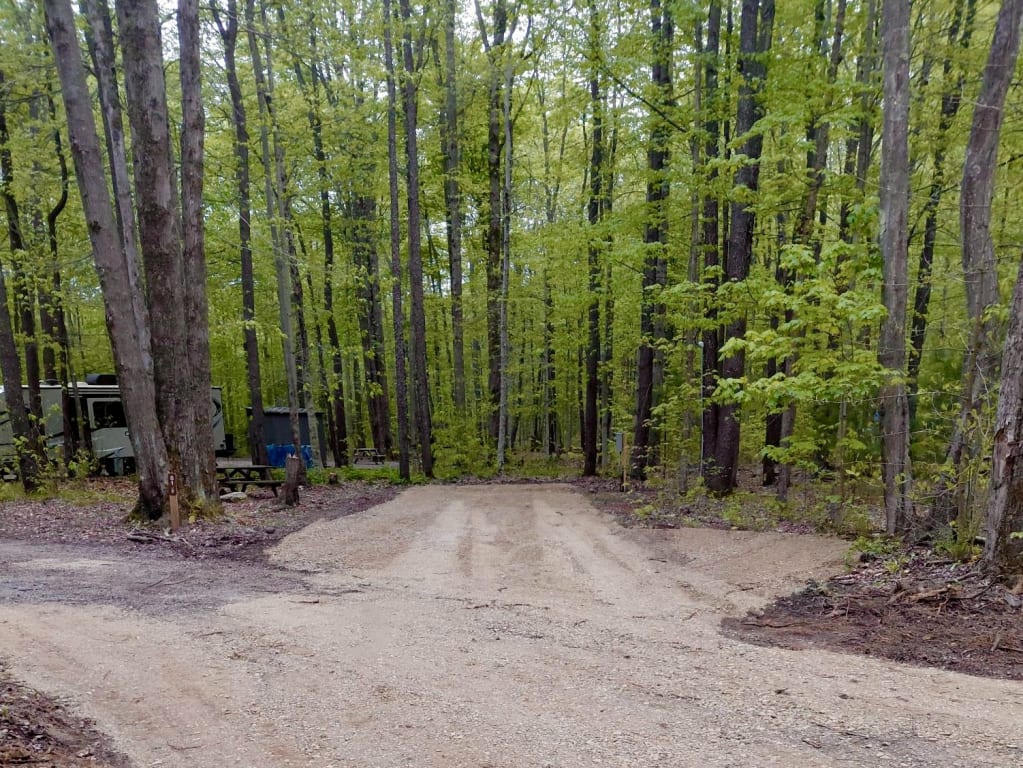 Picture of the site