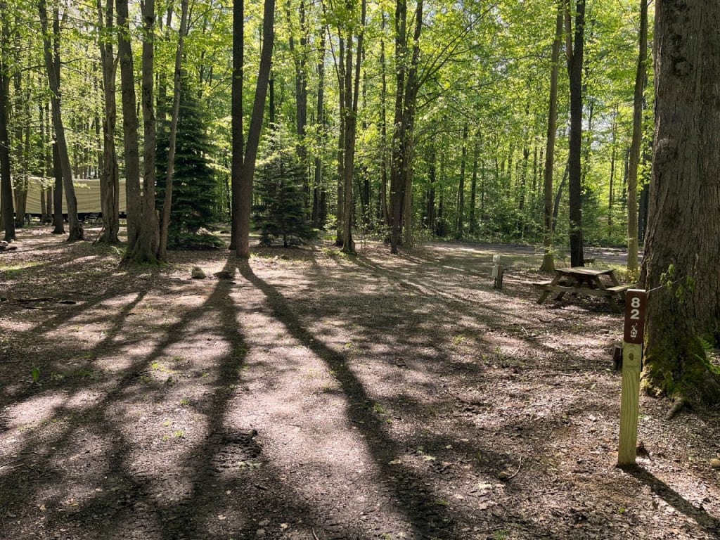 Picture of the site