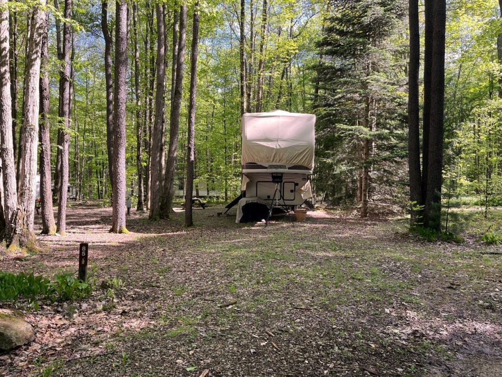Picture of the site