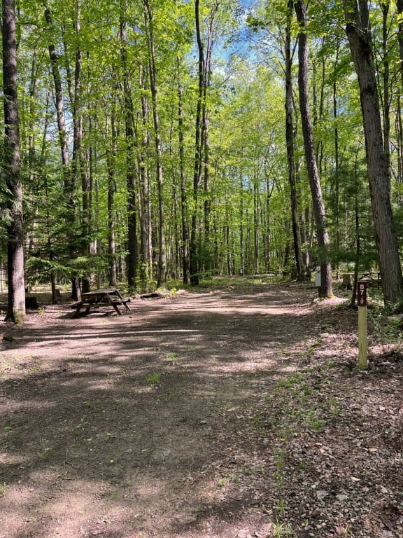 Picture of the site