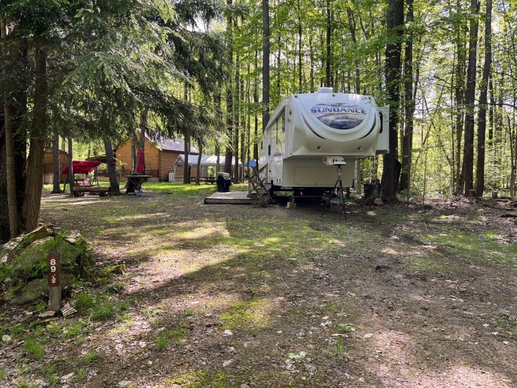 Picture of the site