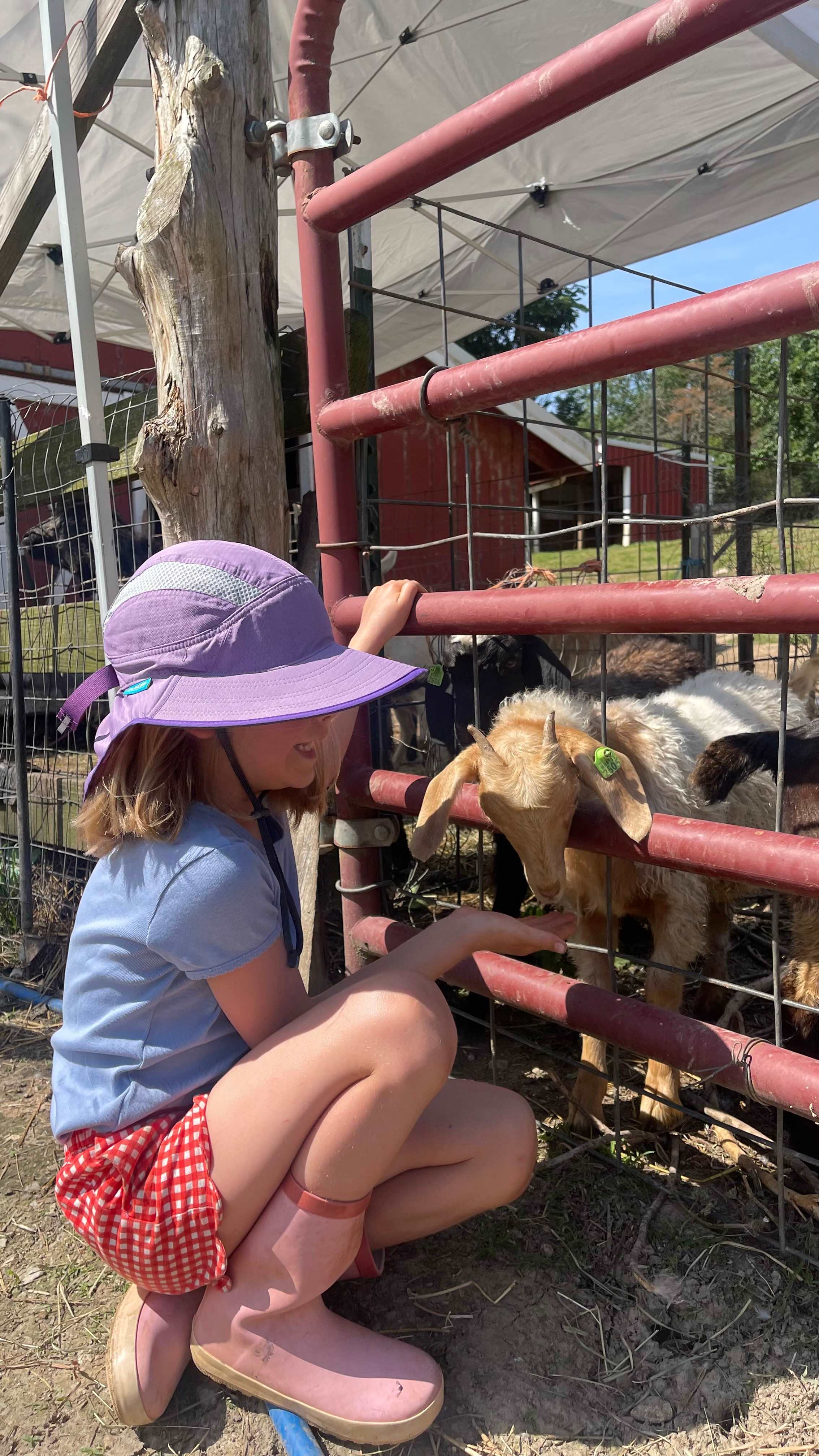 Grand Army Farm