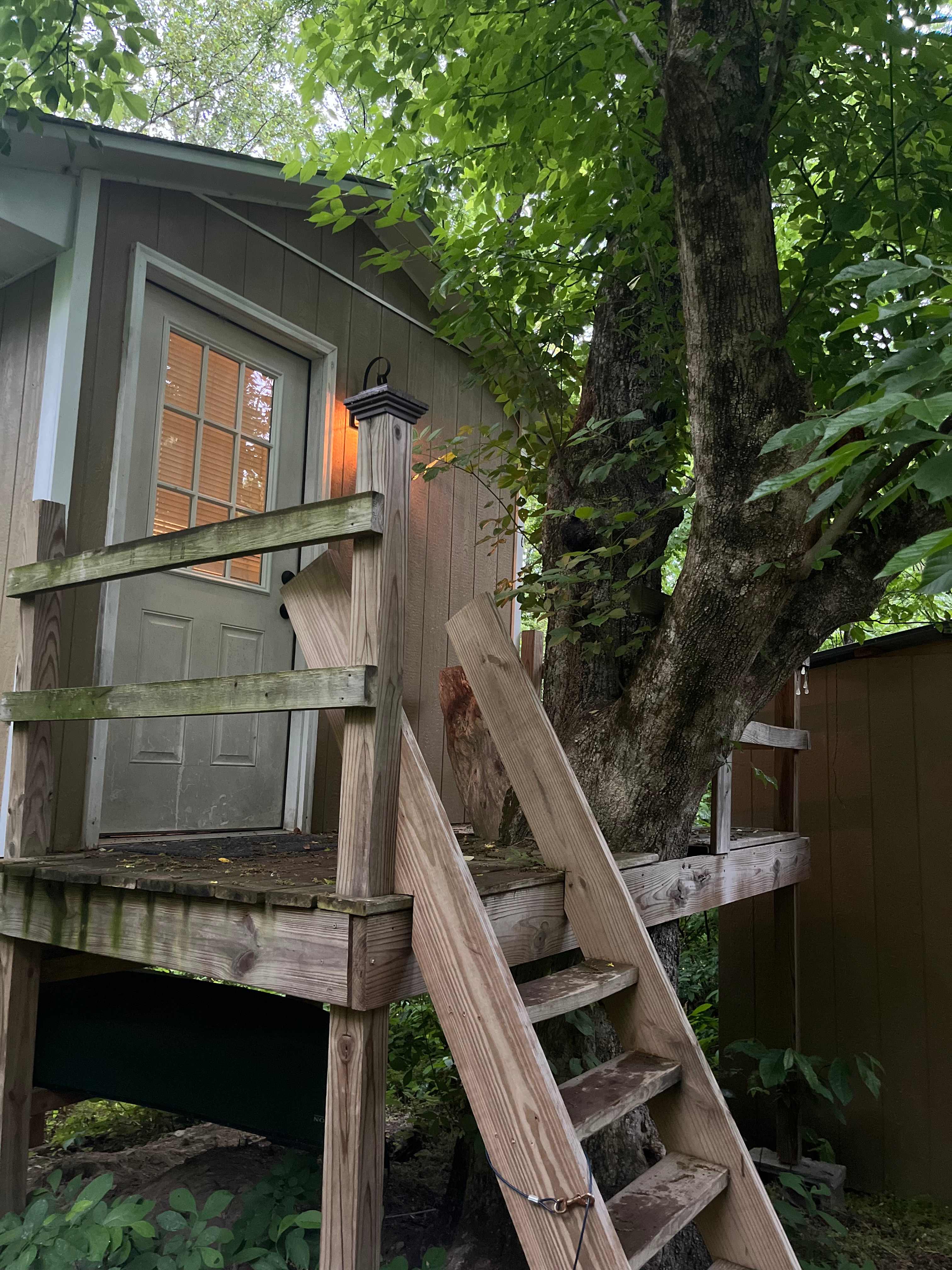 View of the treehouse from outside 