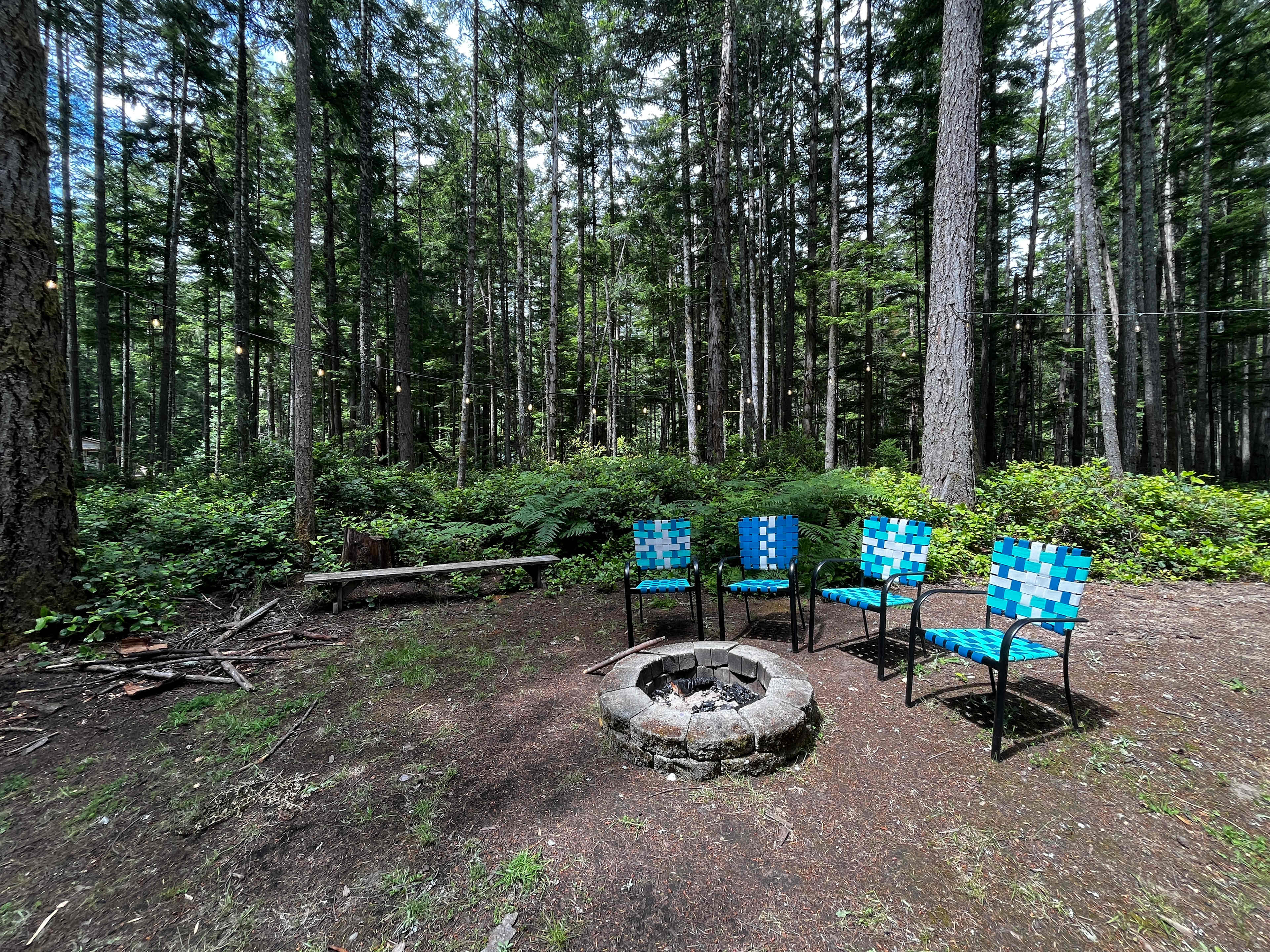 Salal Sanctuary