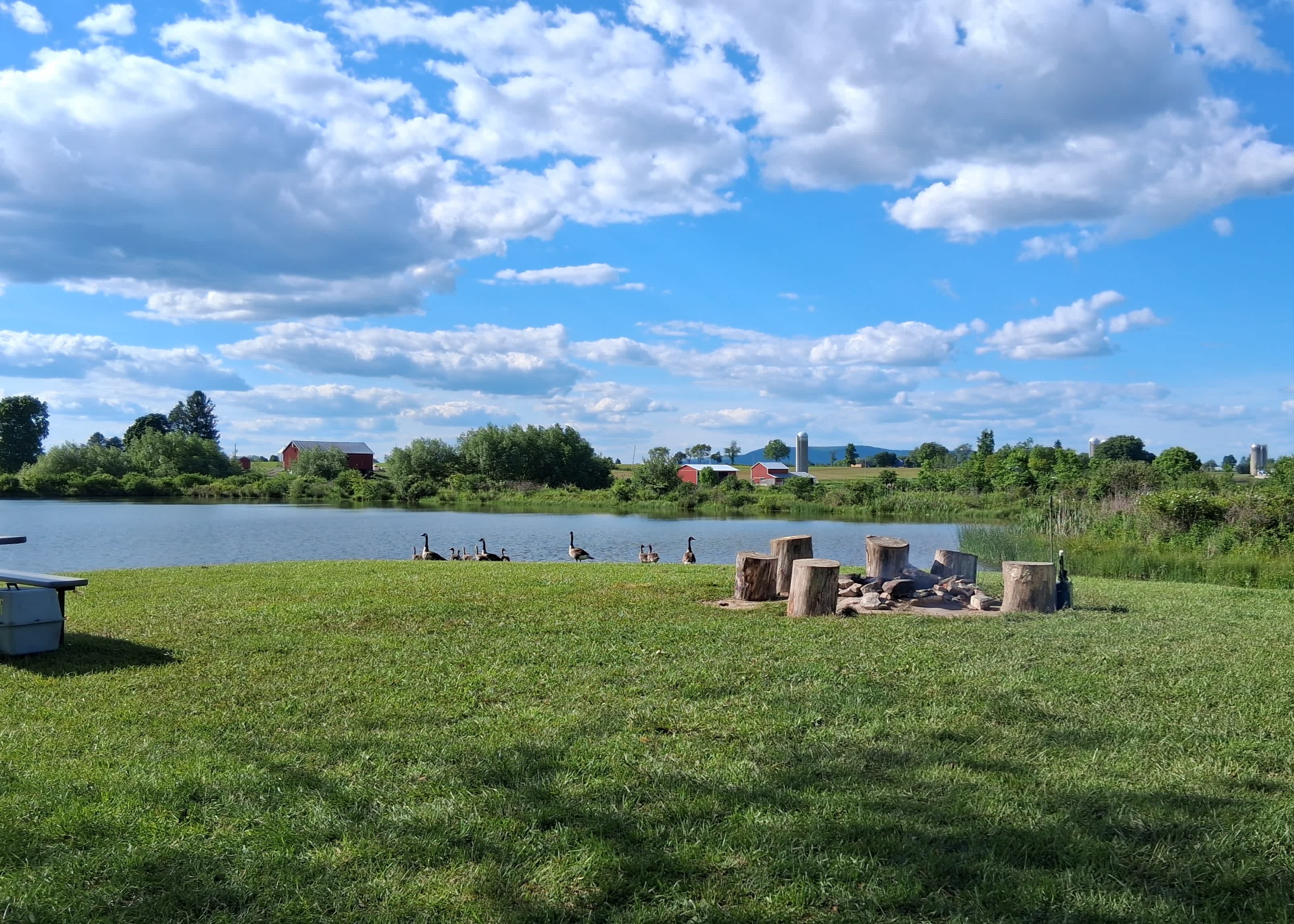 Paradise By The Pond