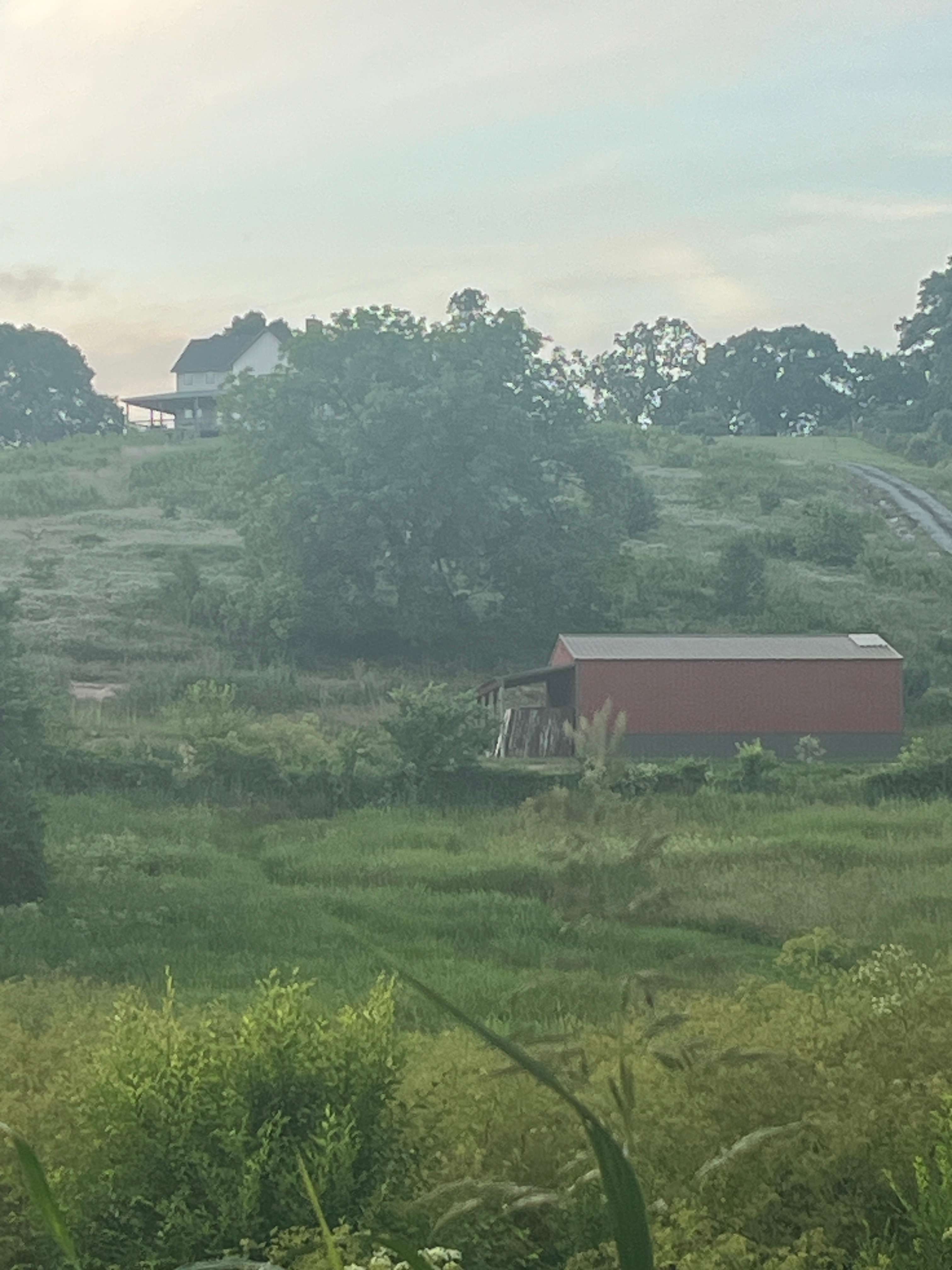 The house on the hill! View from site 9