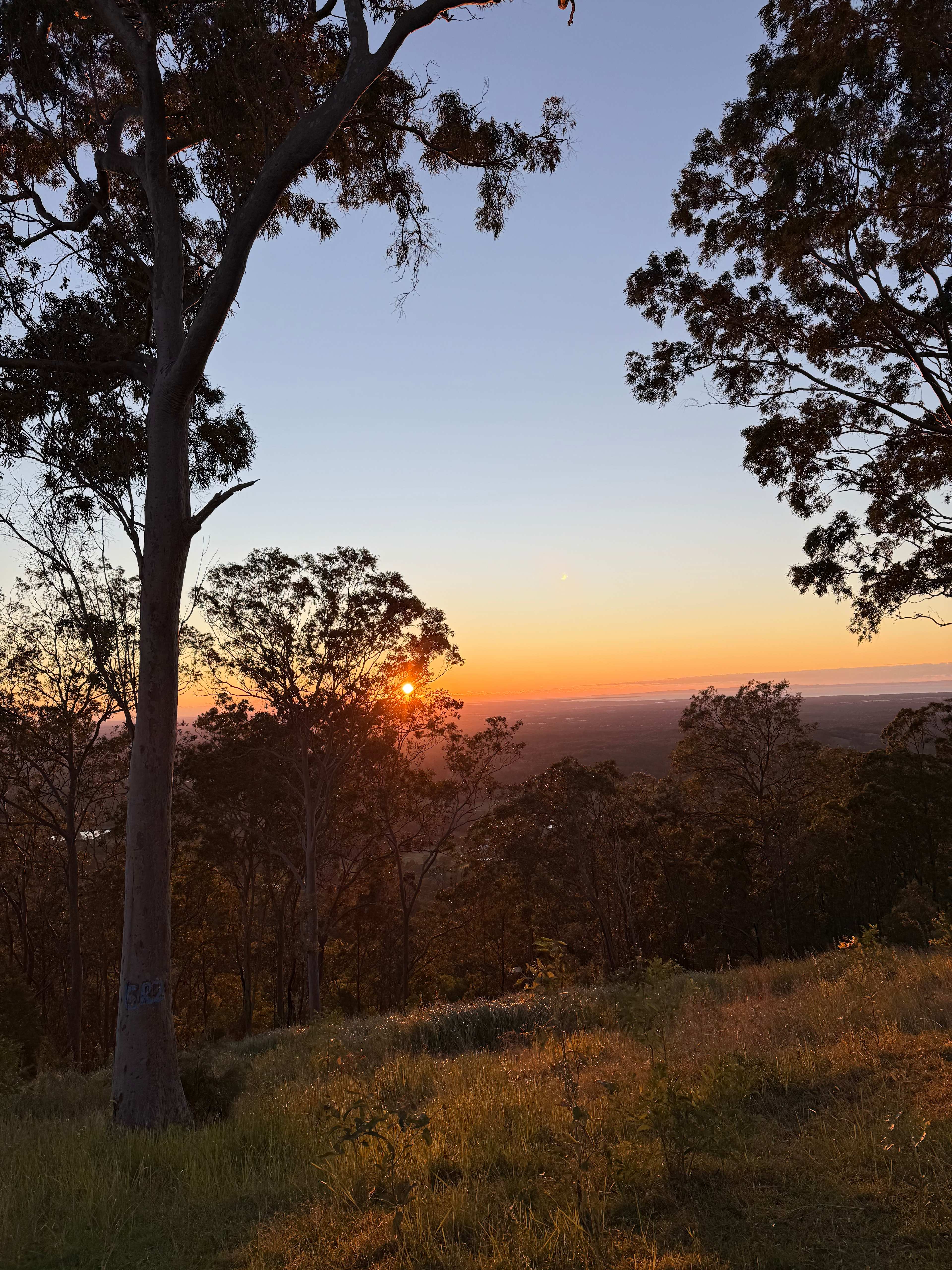 Rangetop Farm