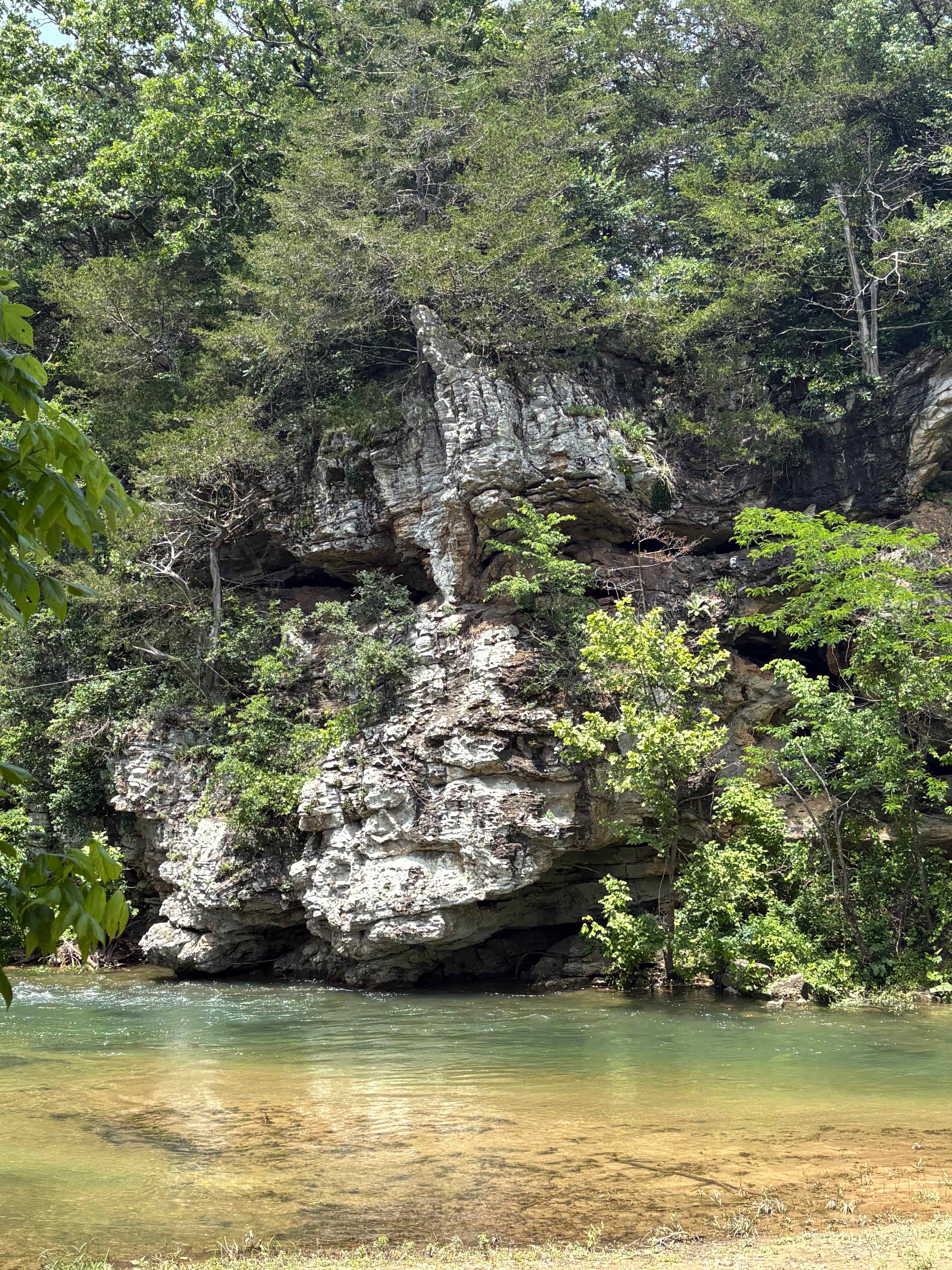 Wilson's Clear Creek Camp