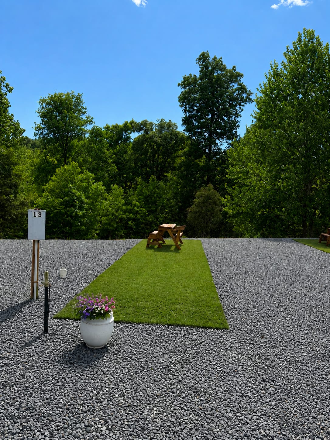 Picture of the site