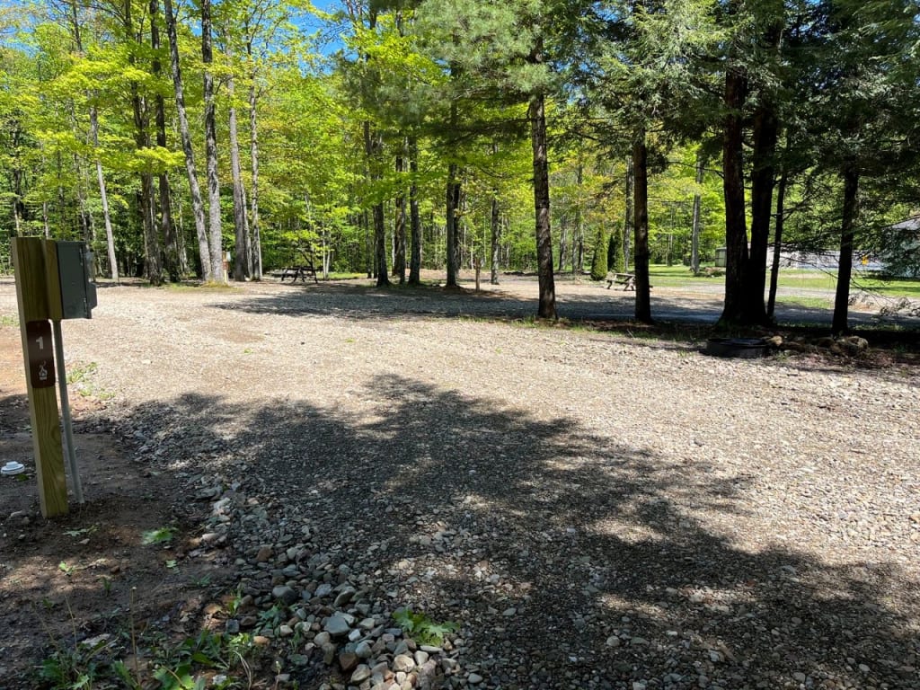 Picture of the site