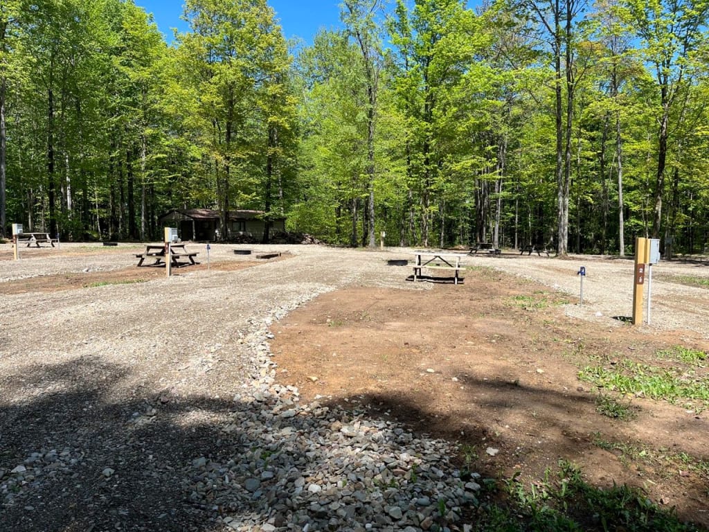 Picture of the site