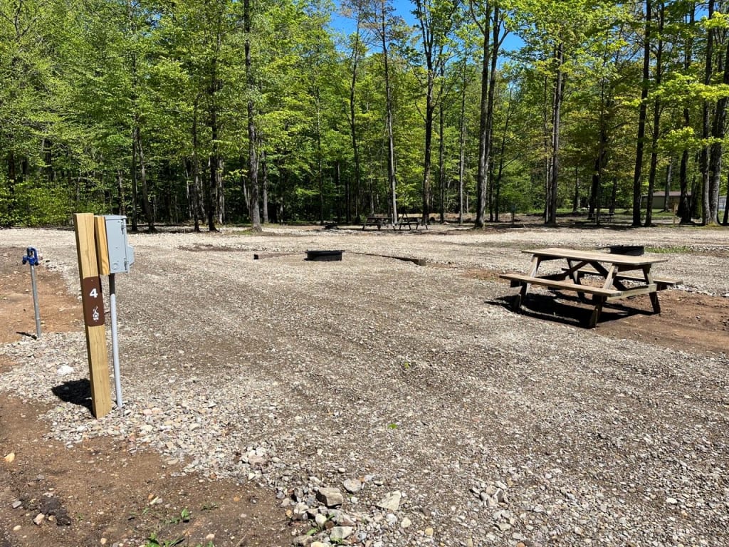 Picture of the site