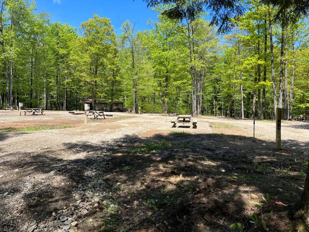 Picture of the site