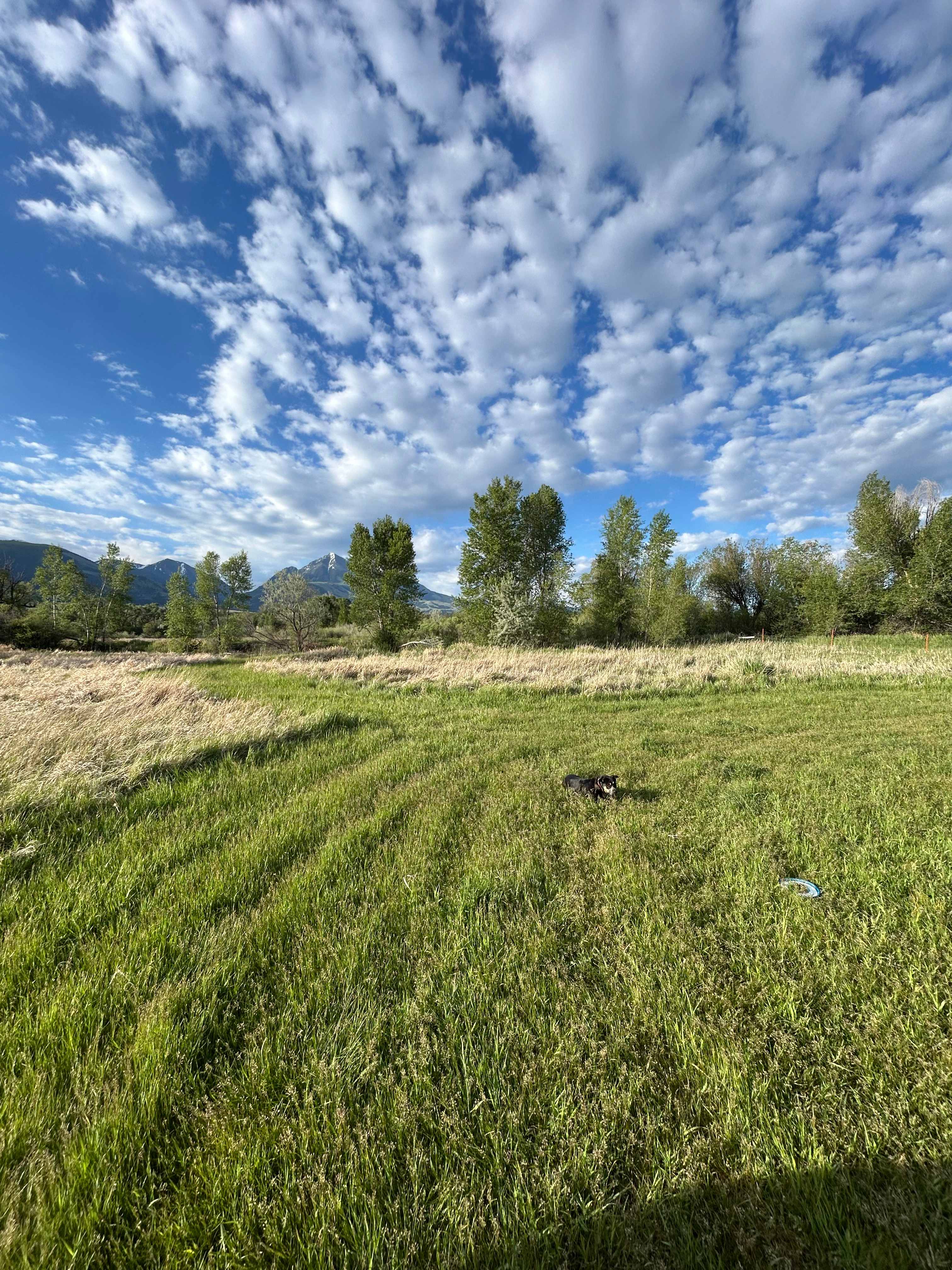 Montana Basecamp near Yellowstone