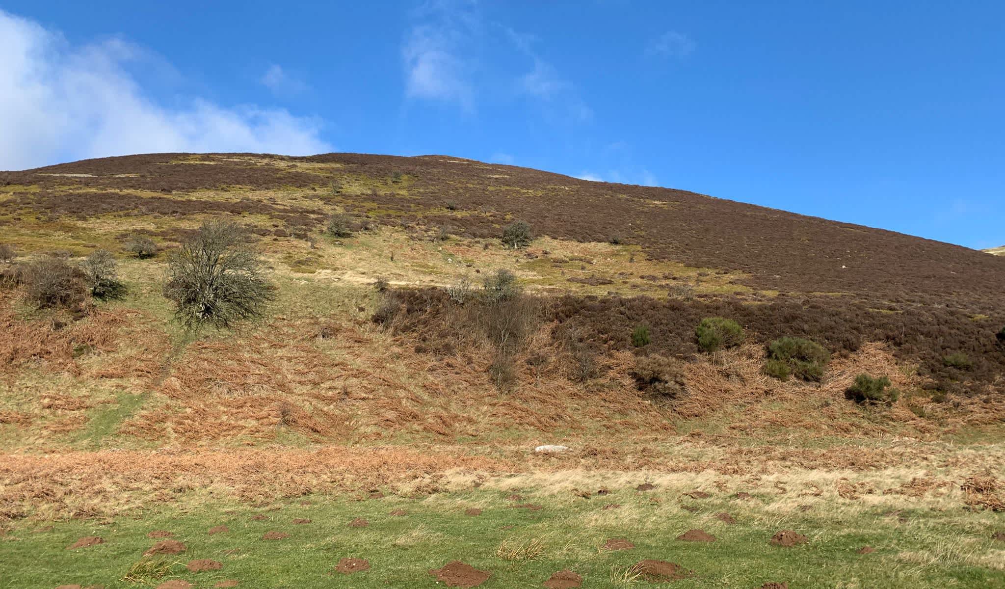 Gwerniago Camping Site