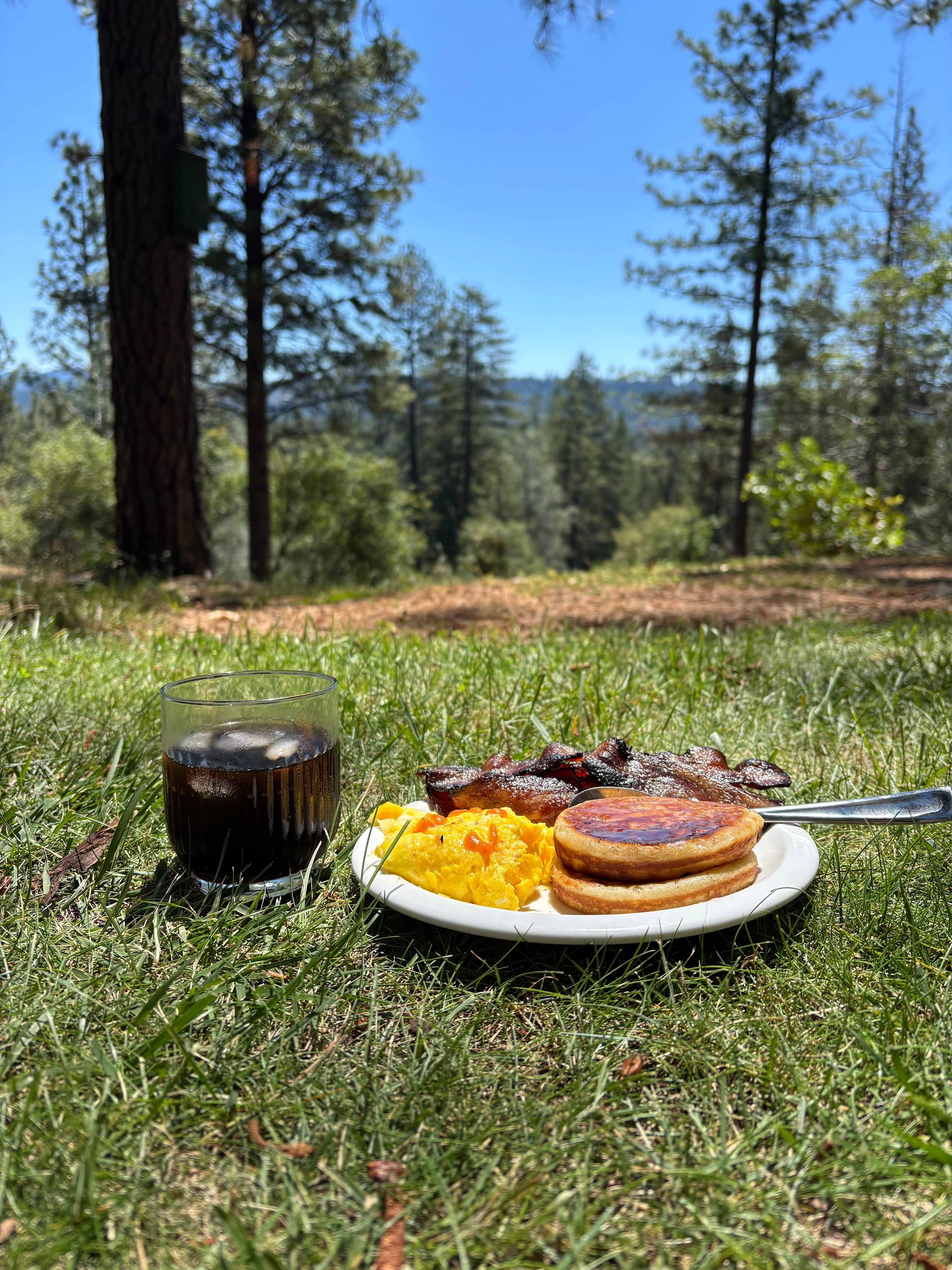 Peace in the Pines