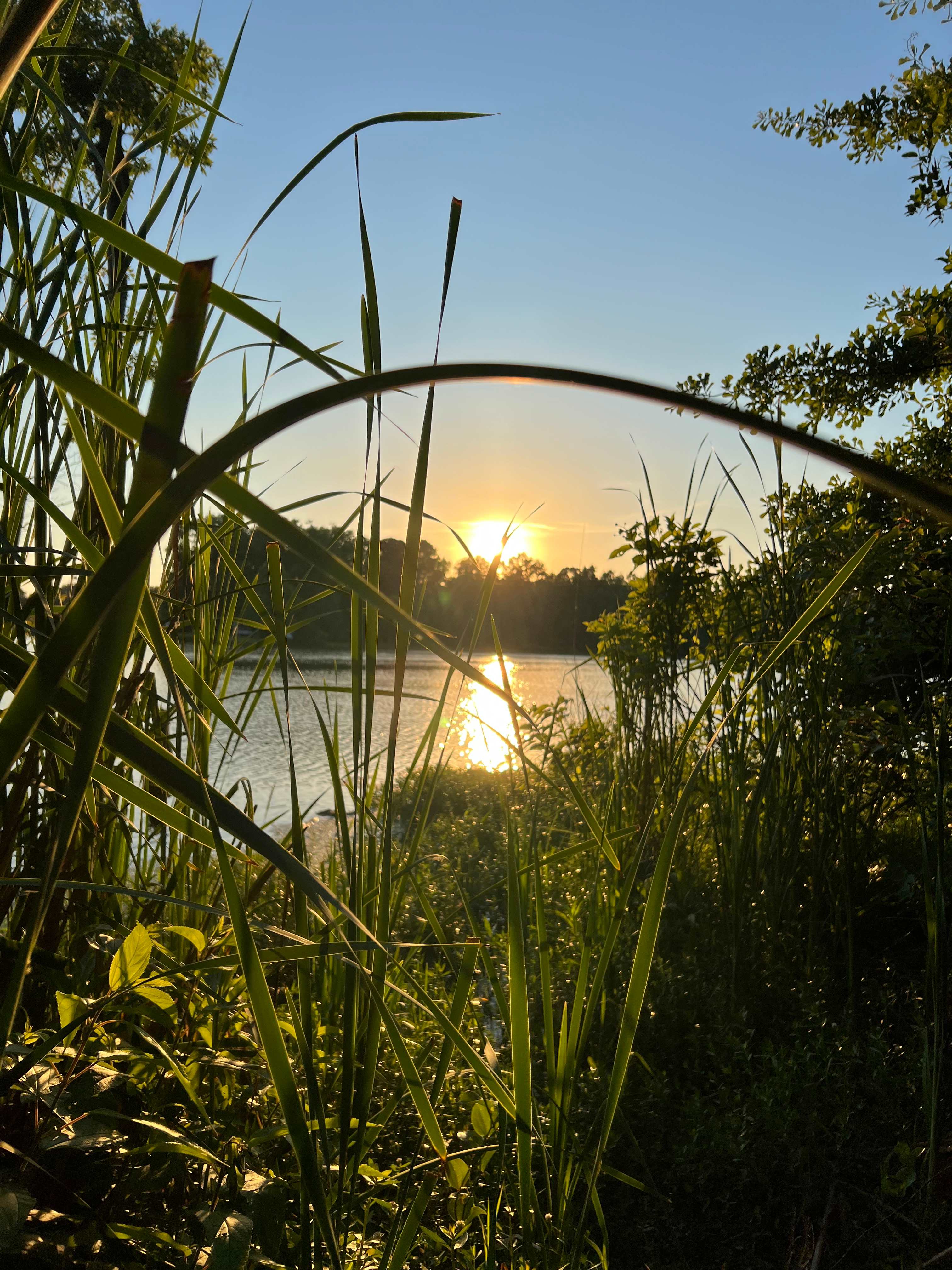 JCO Campground at Lee Baysden Pond