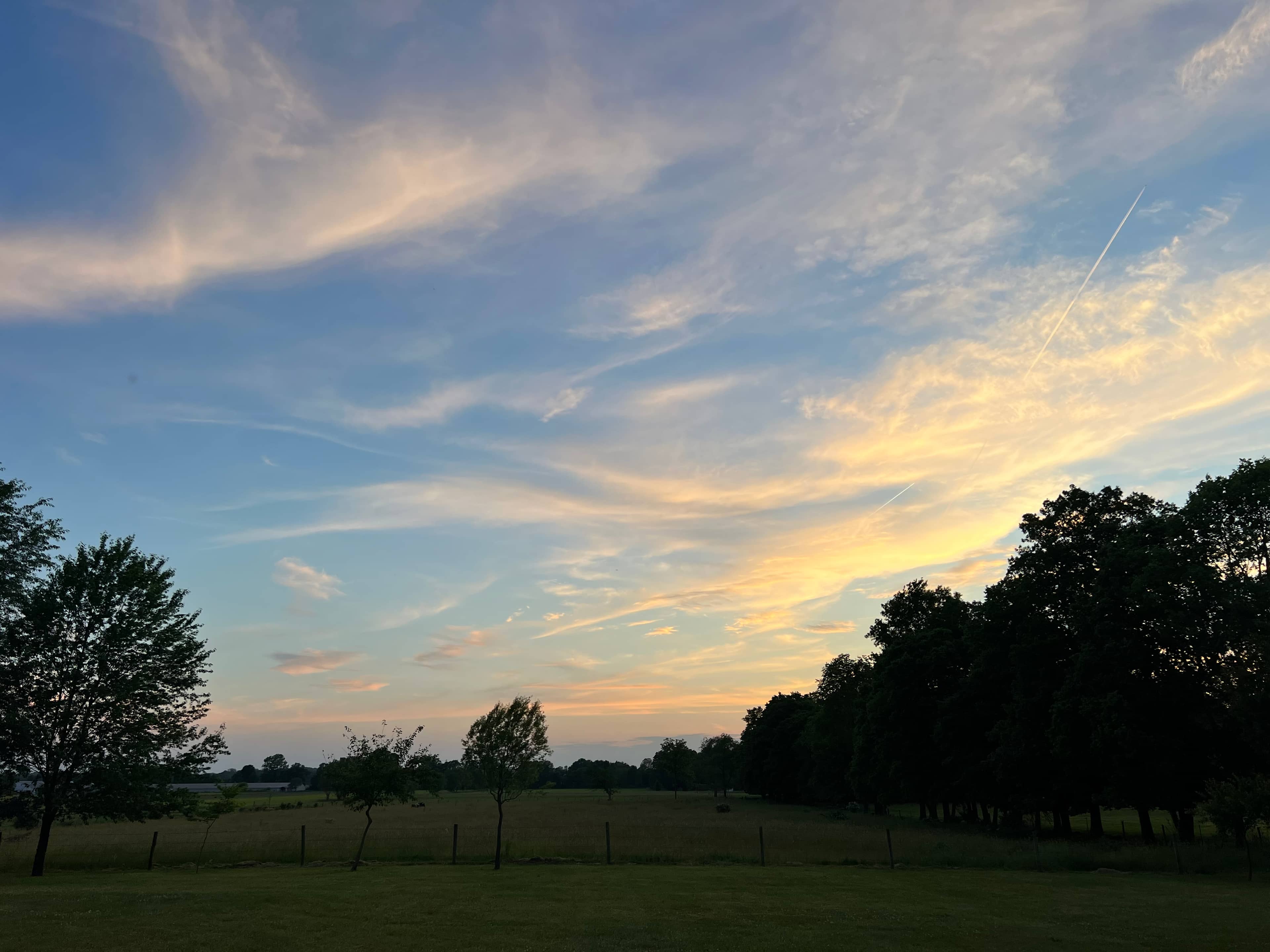 Teaberry Wood Farm