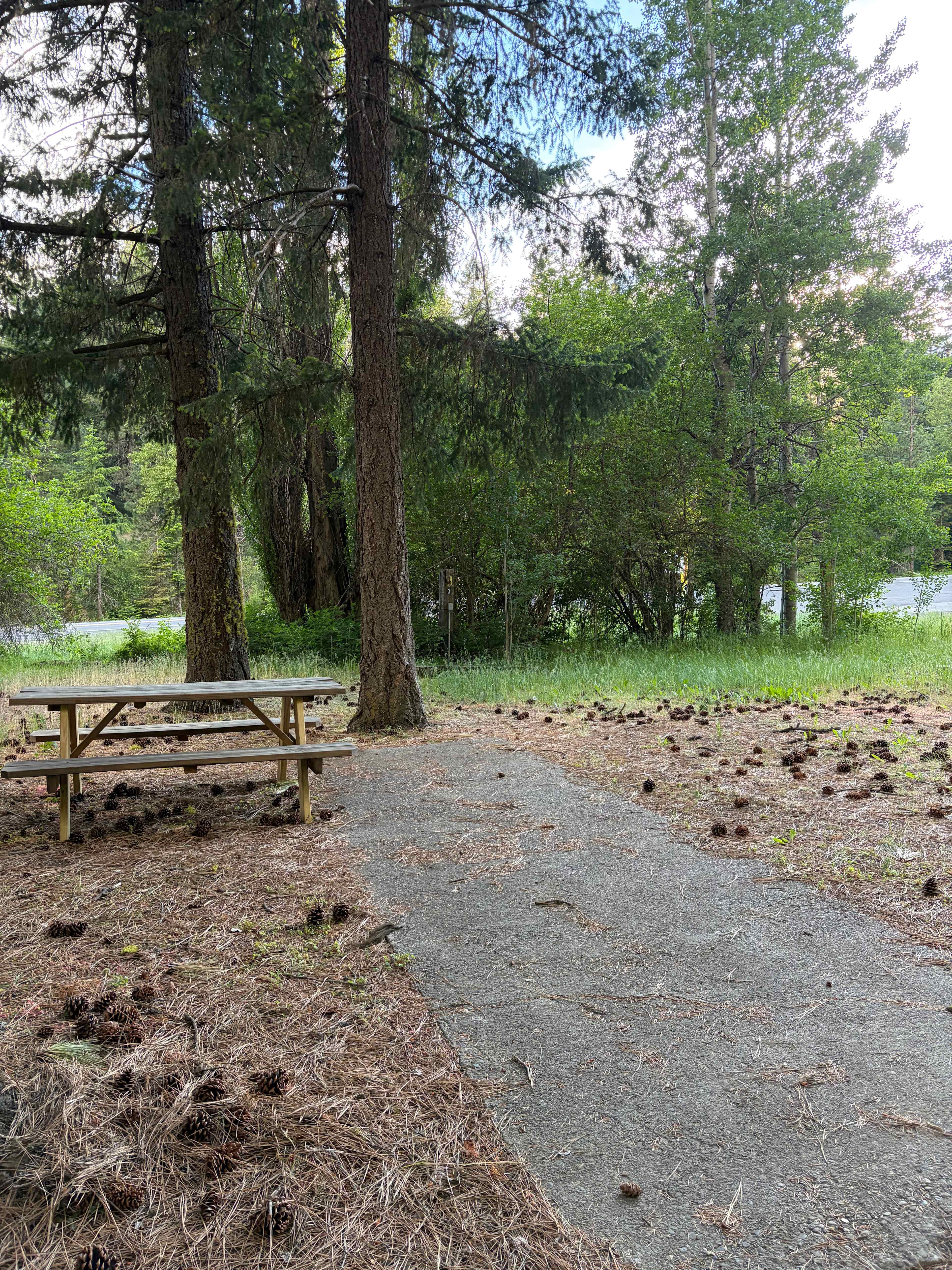 Picture of the site