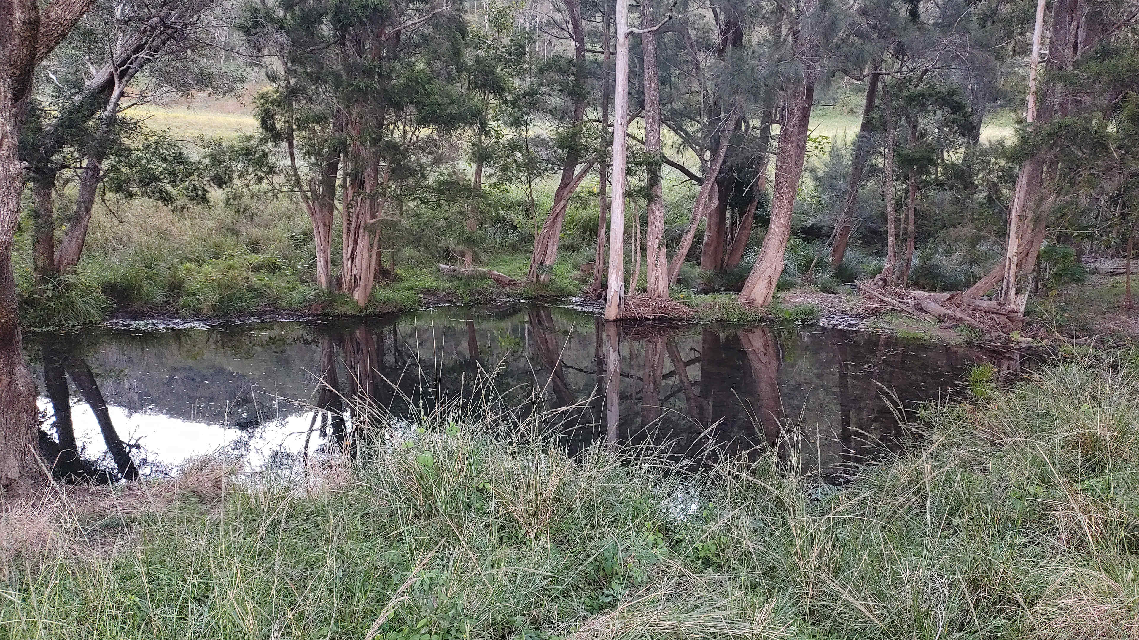 100 Acre Estate