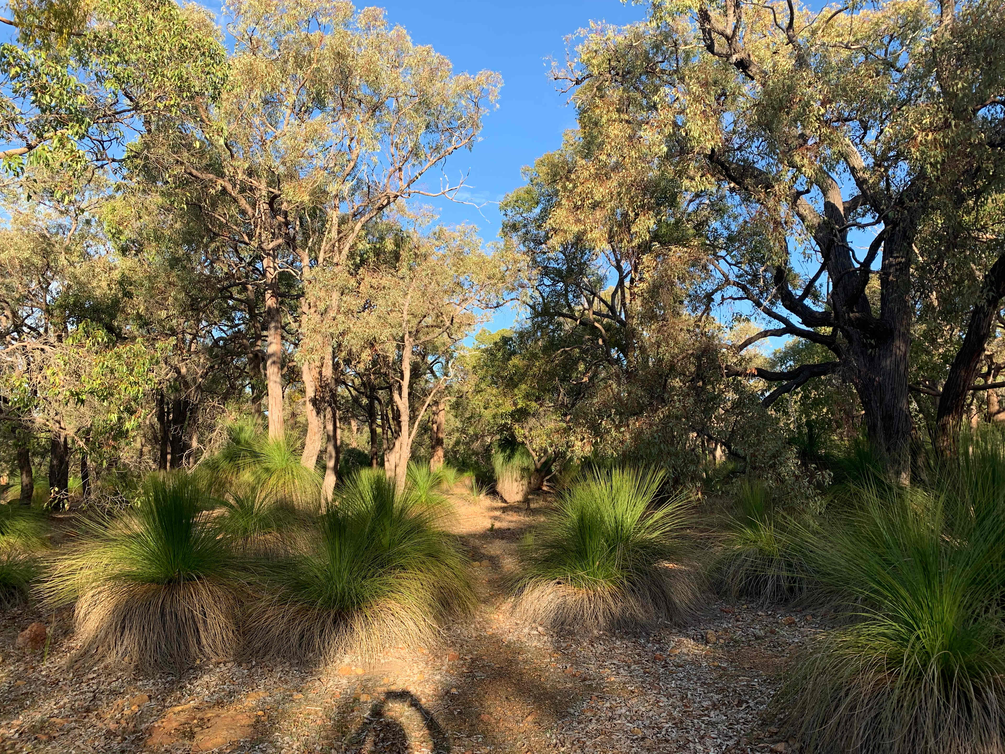 Chittering Acres