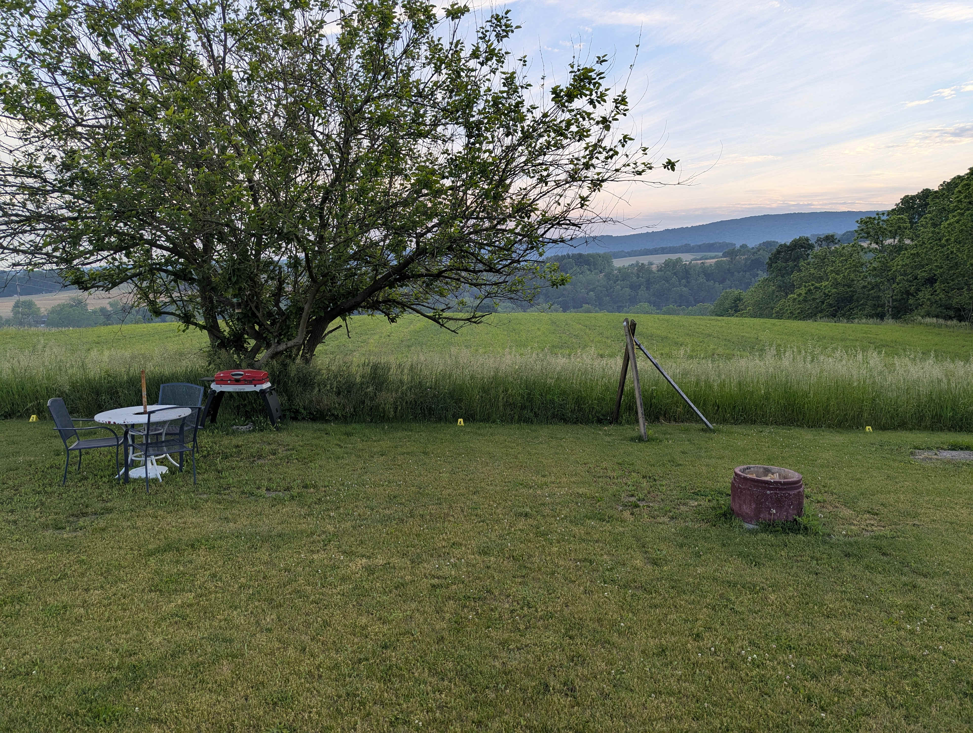 Picture of the site