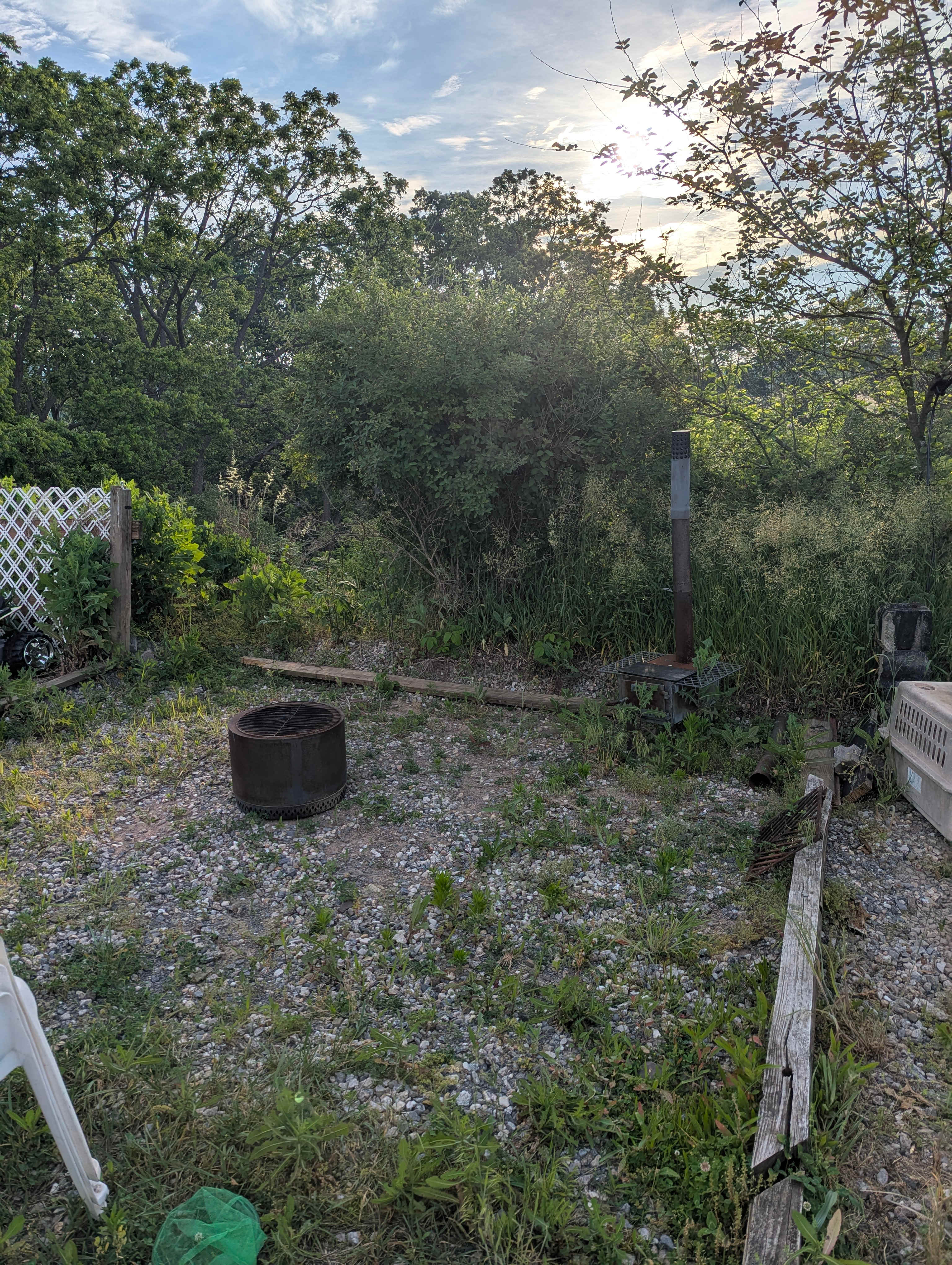 Picture of the site