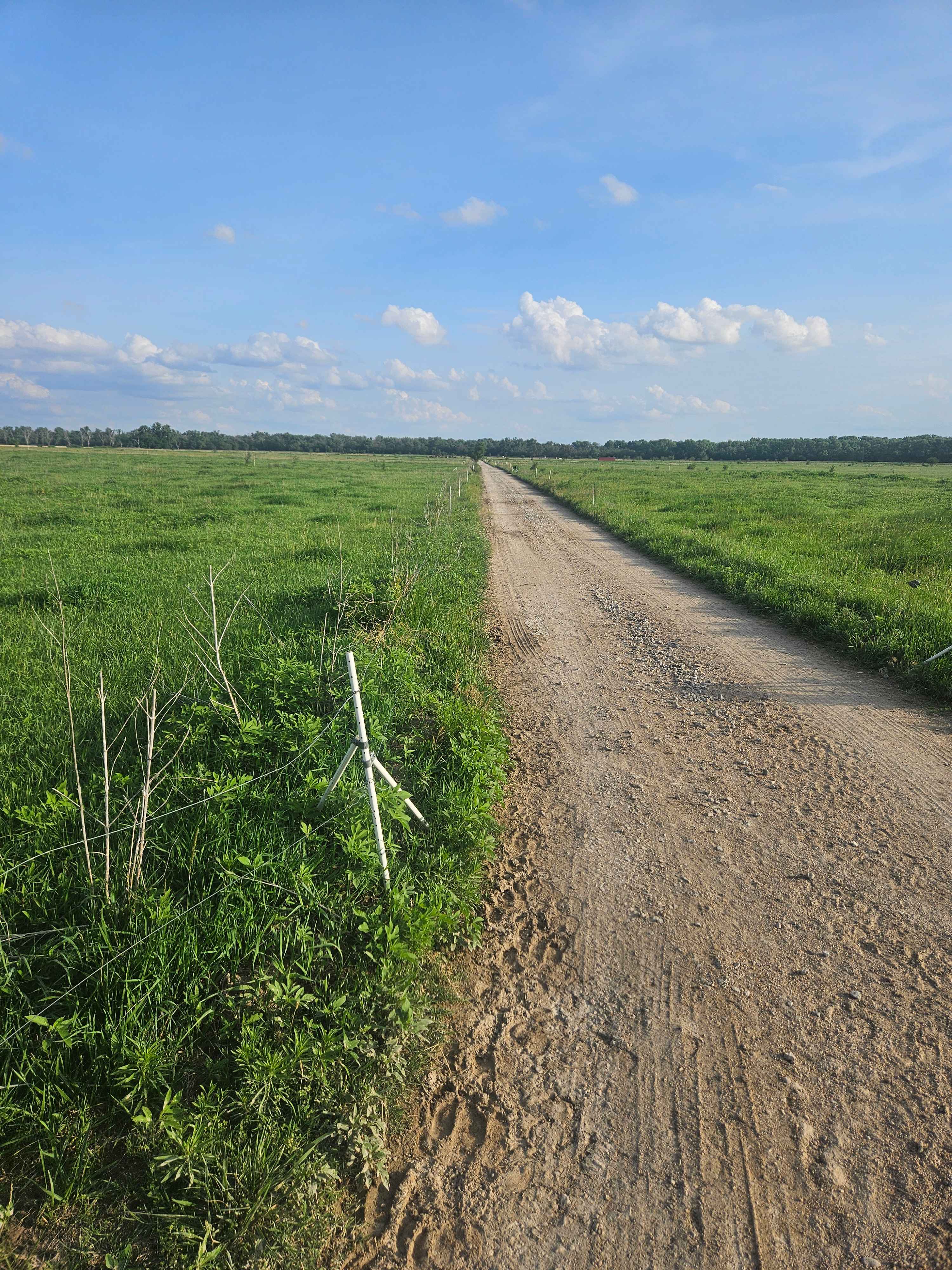 Walk thru pastures