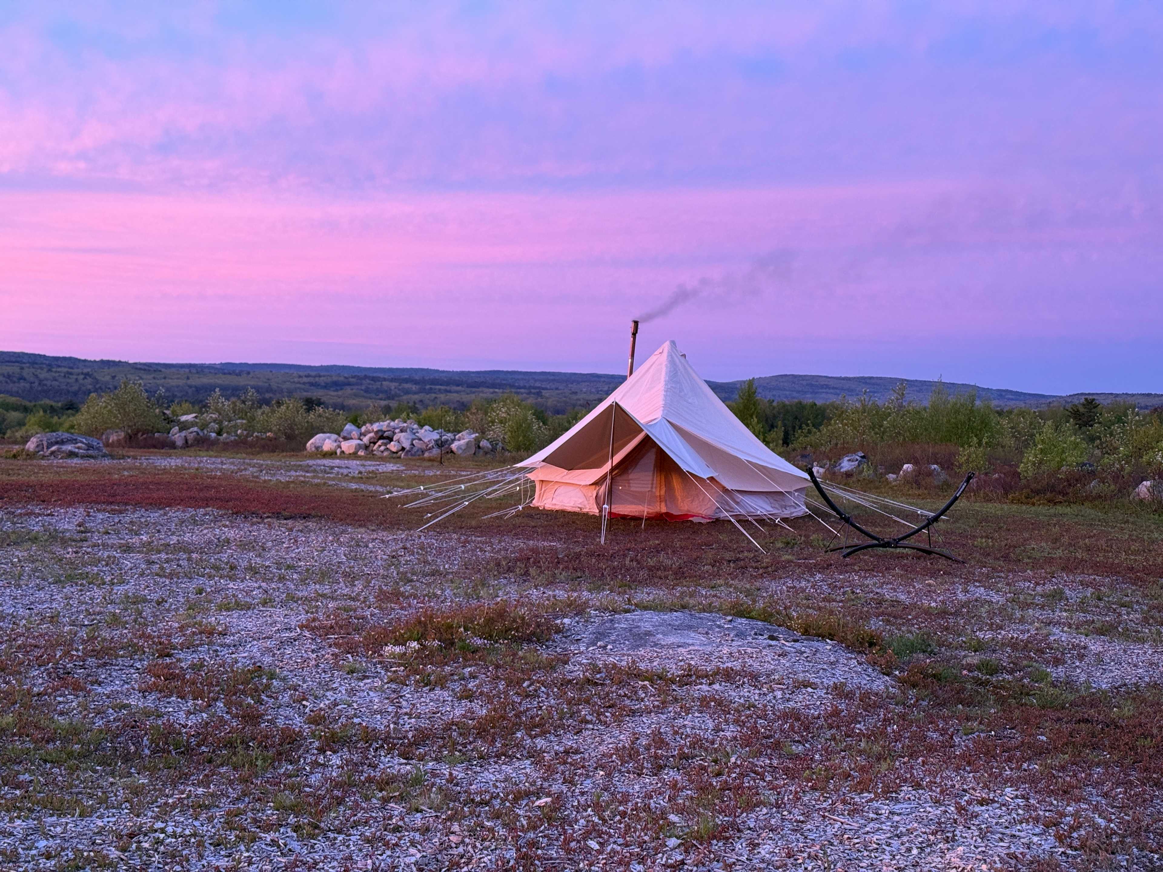 Maine Wild Blueberry Bliss