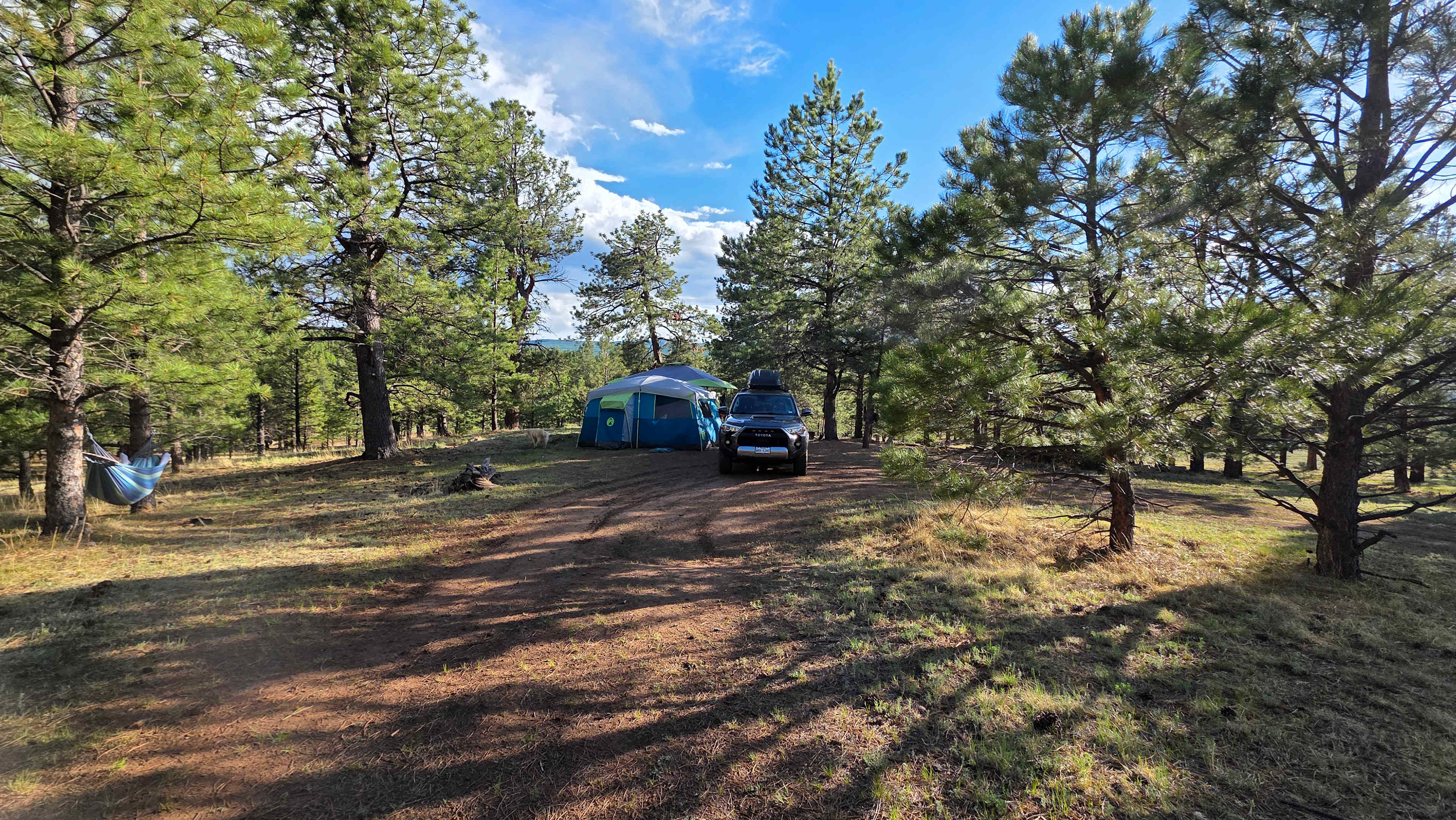 Beautiful camp set up site 7