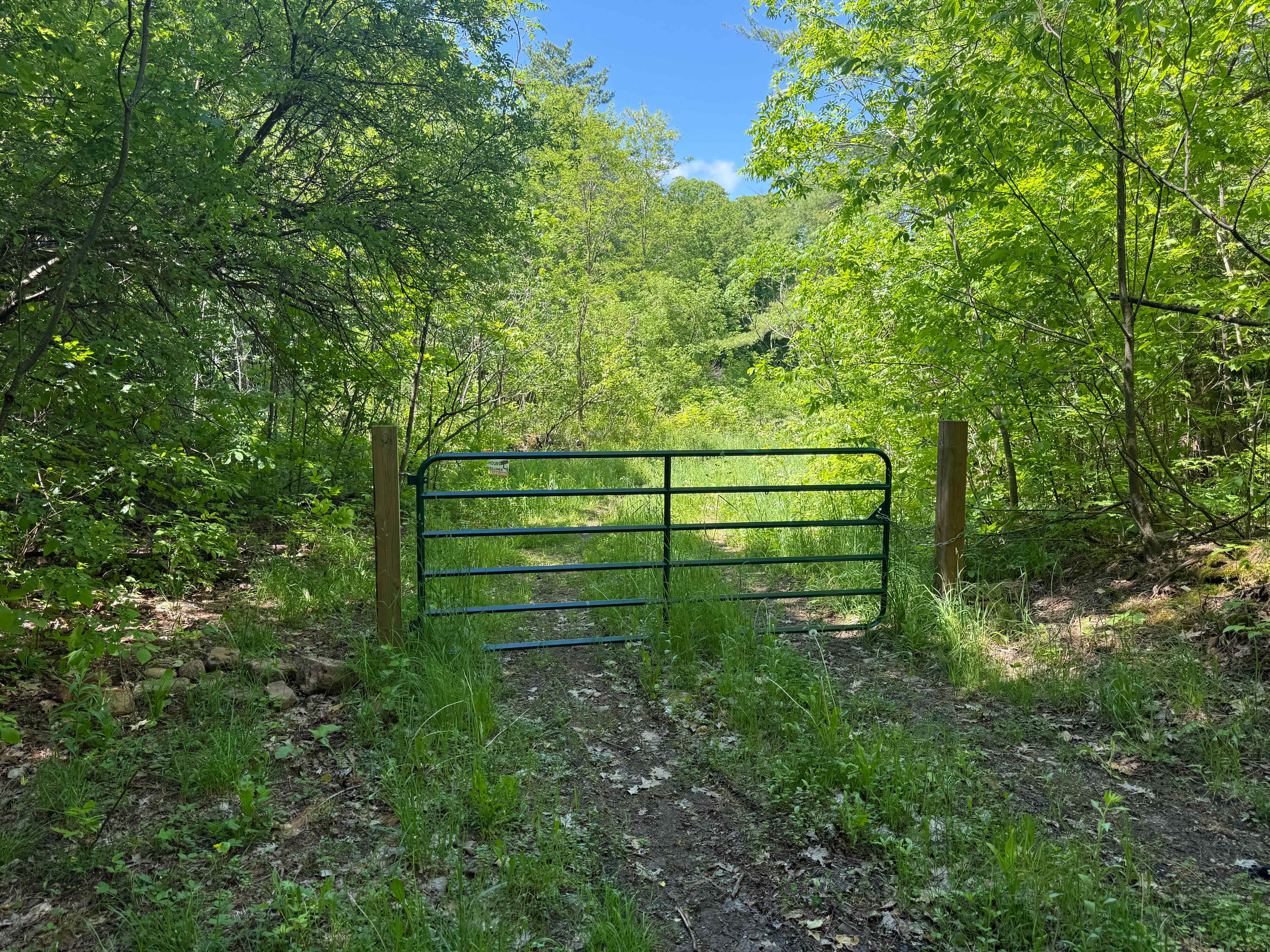 Picture of the site