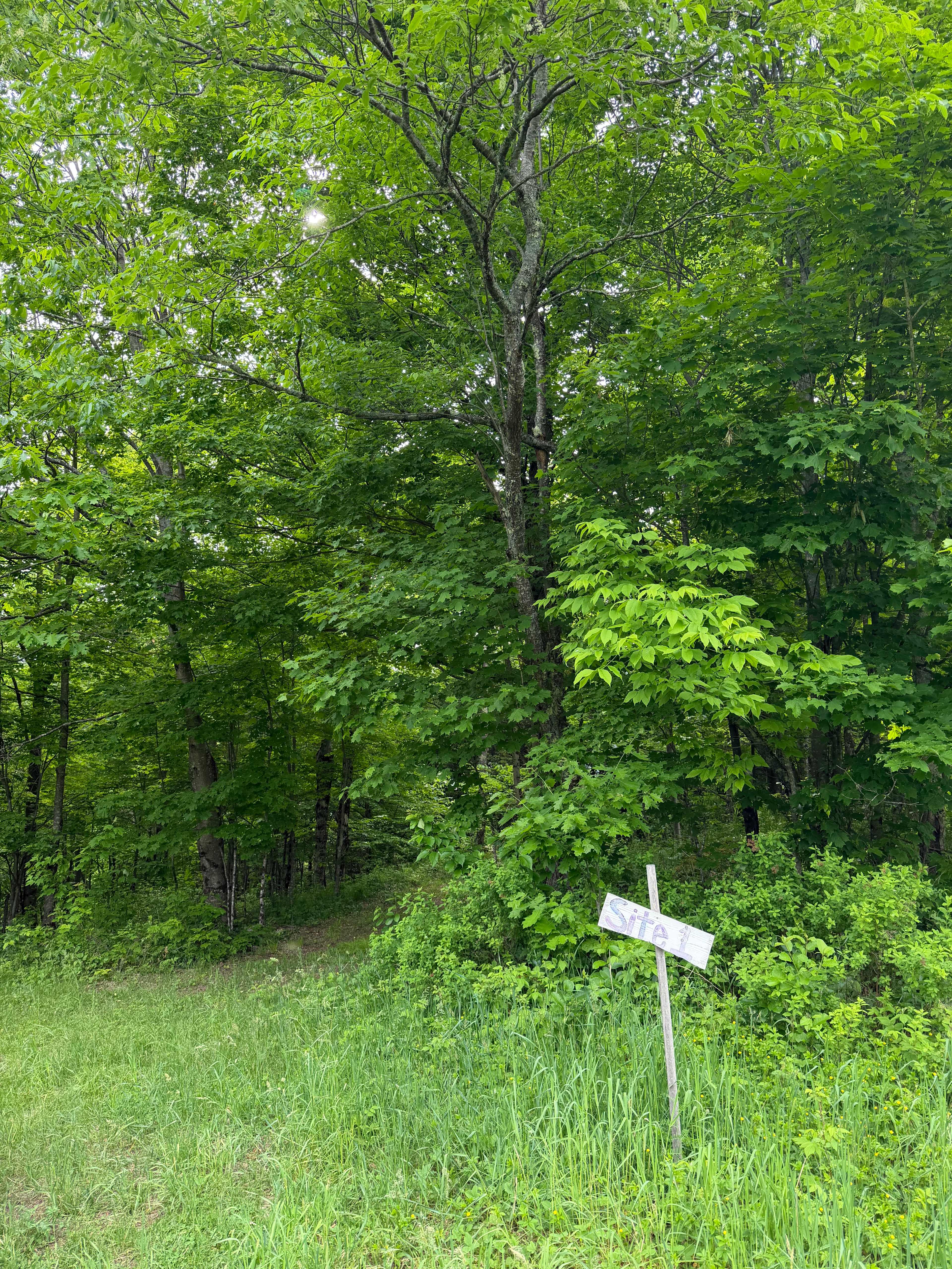 Peregrine Farm and Forest