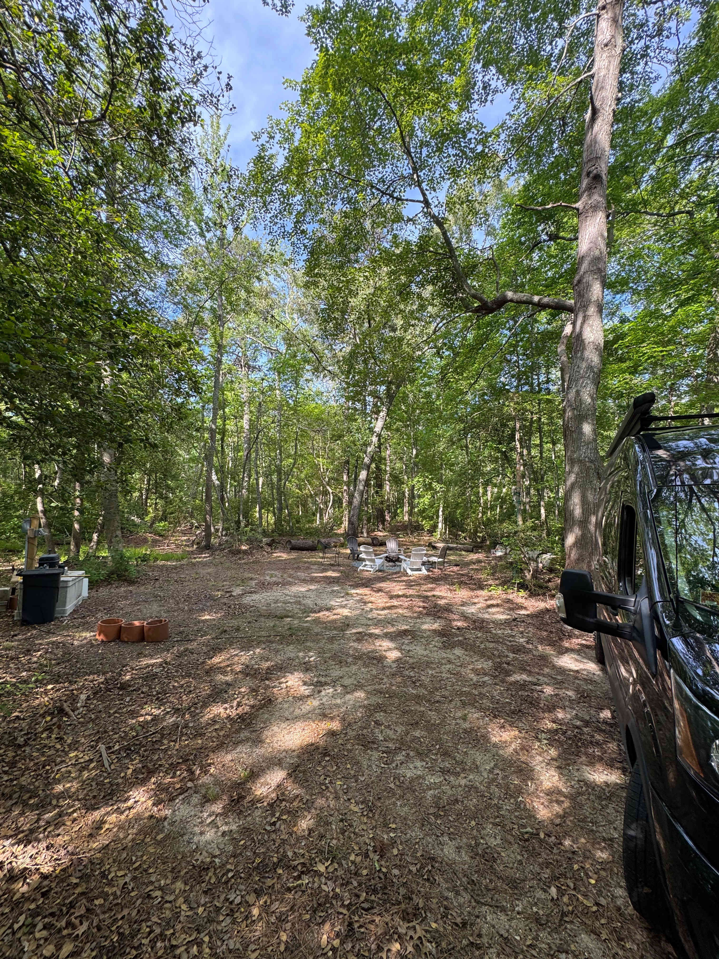Picture of the site