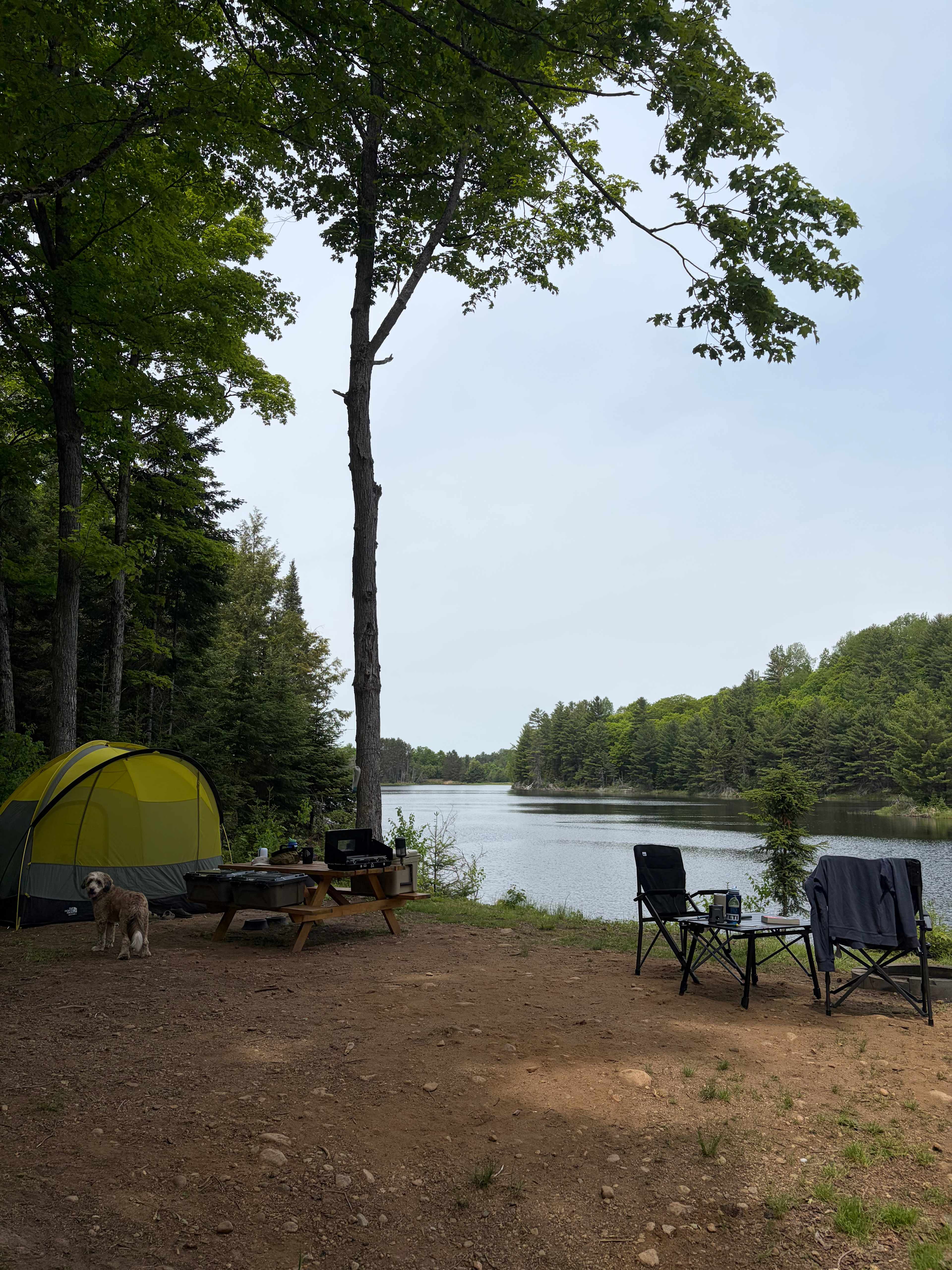 Ball Lake Tent Camping