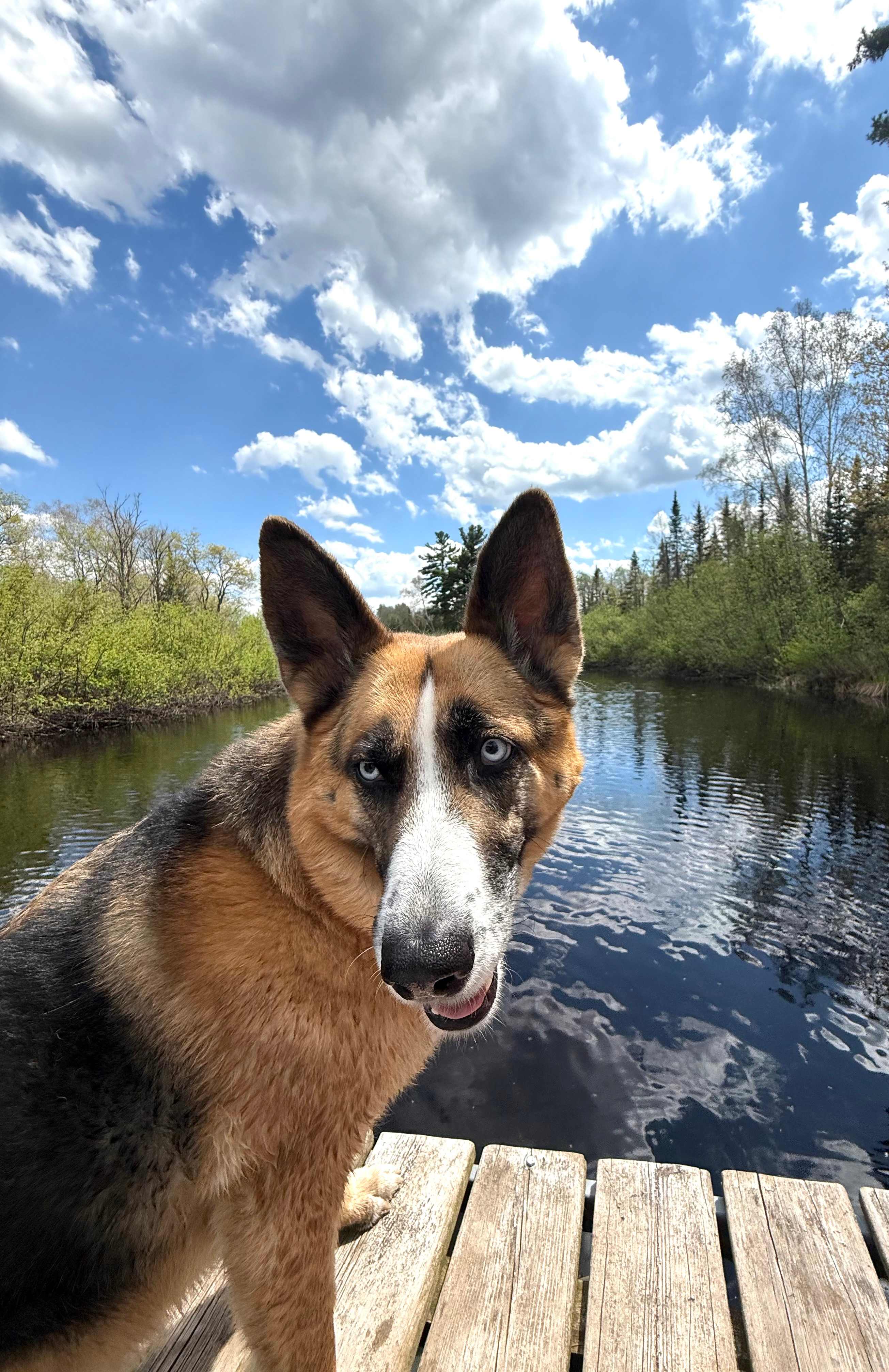 Bad River Wilderness