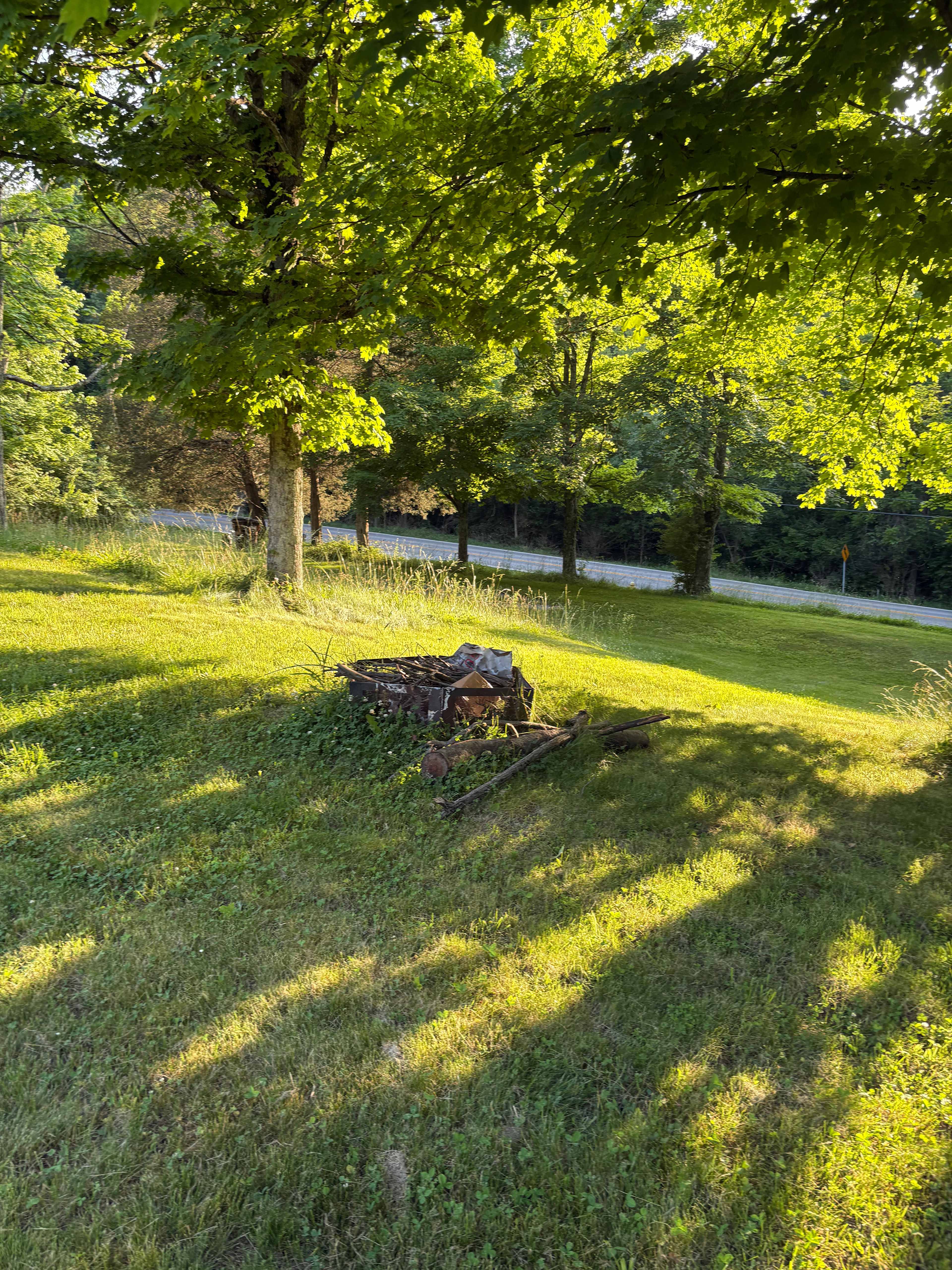 Picture of the site