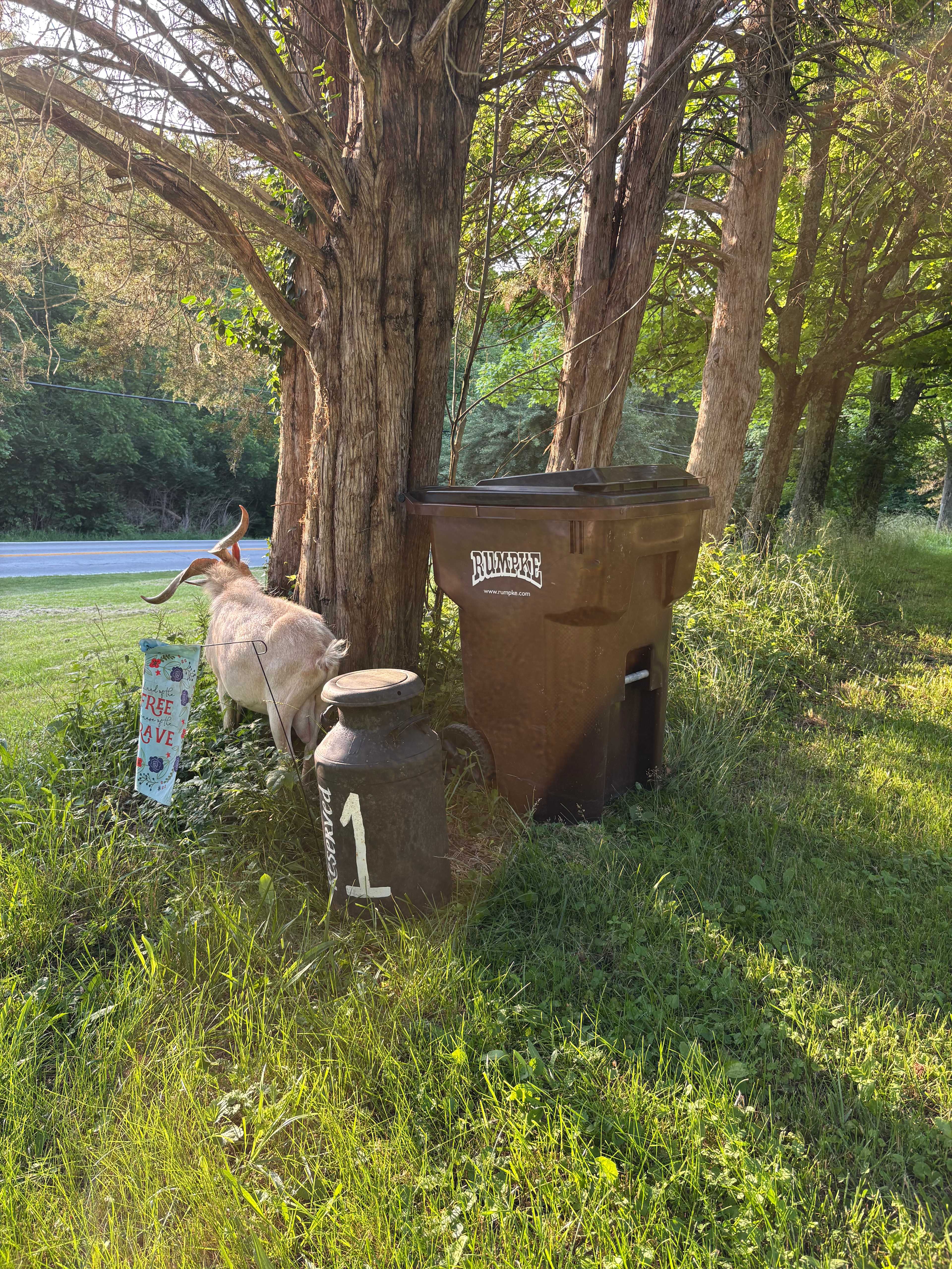 Deer Haven