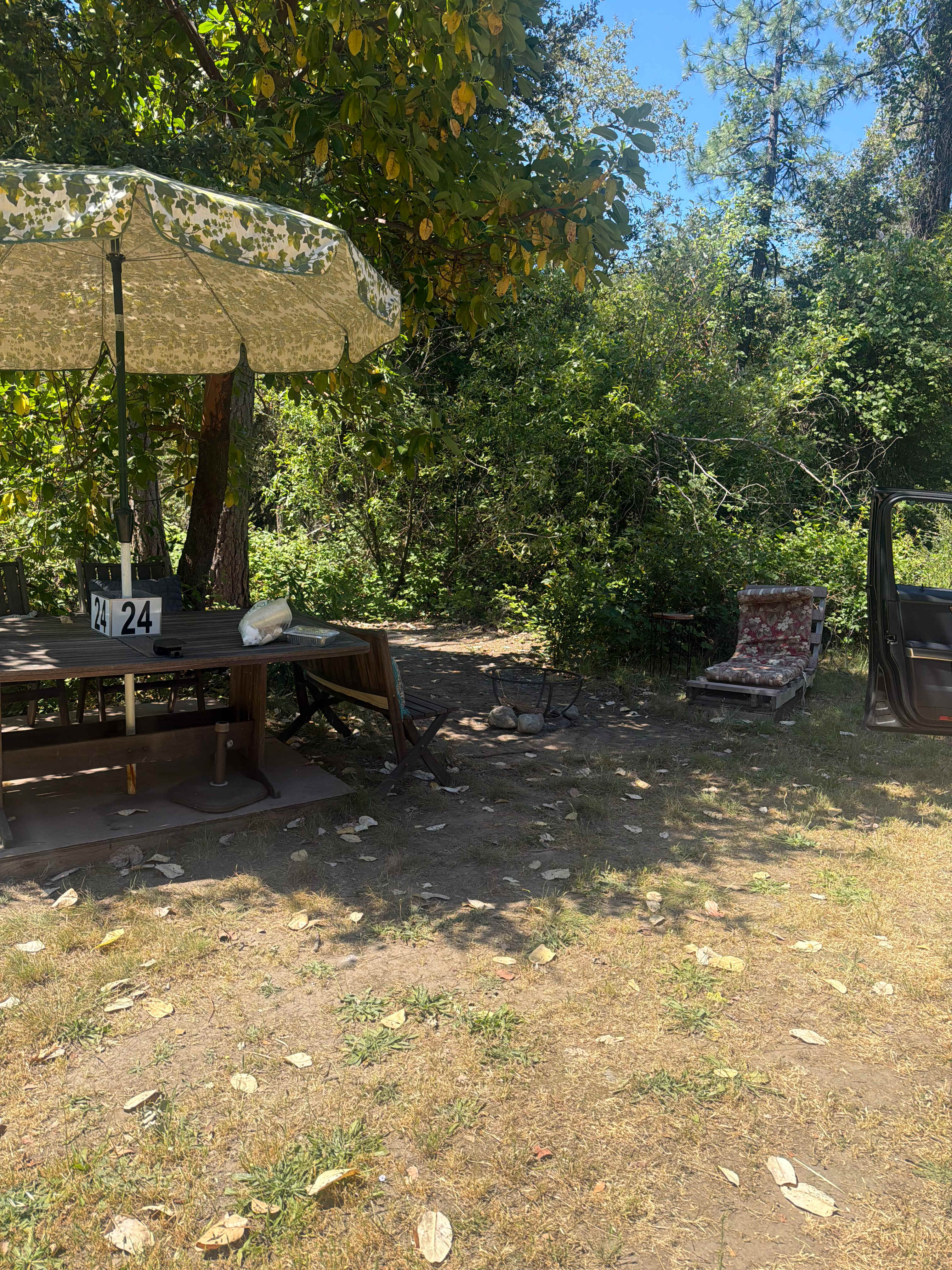 Picture of the site