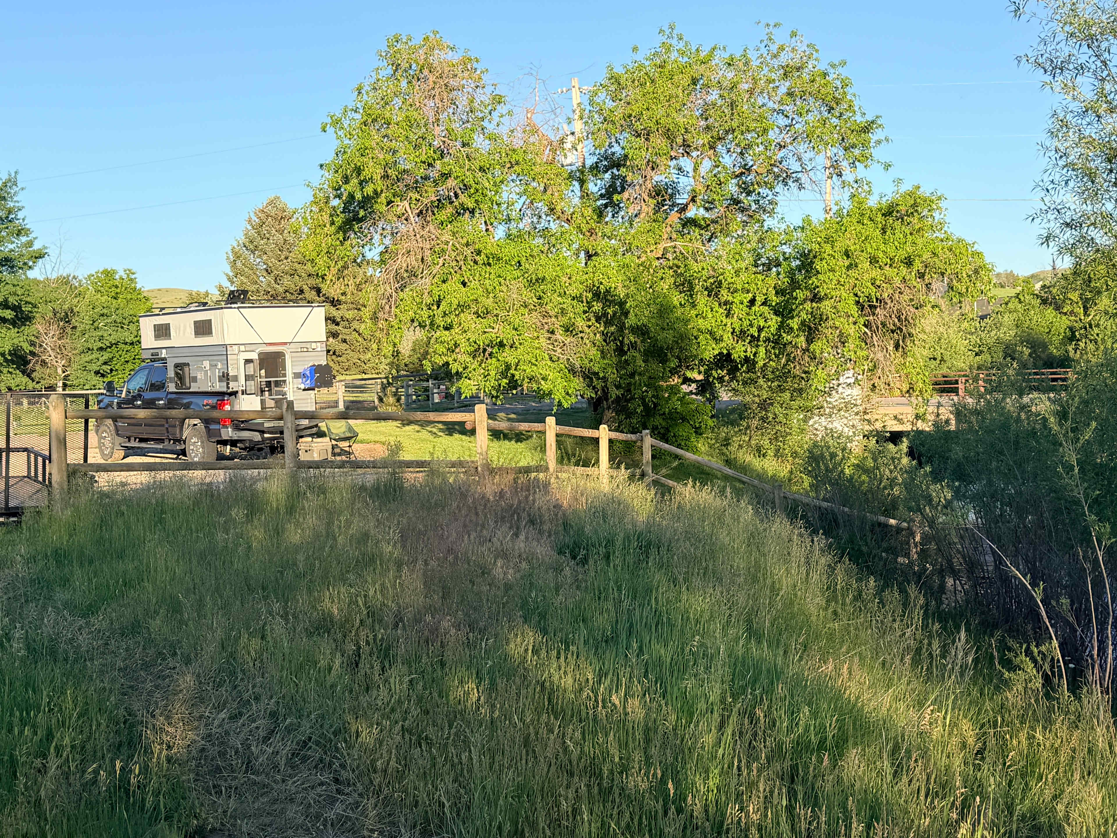 Little Goose Tree Fort