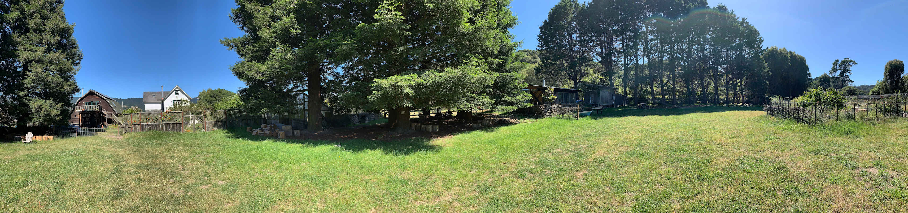 meadow with tent camps on the right under the oak tree shade